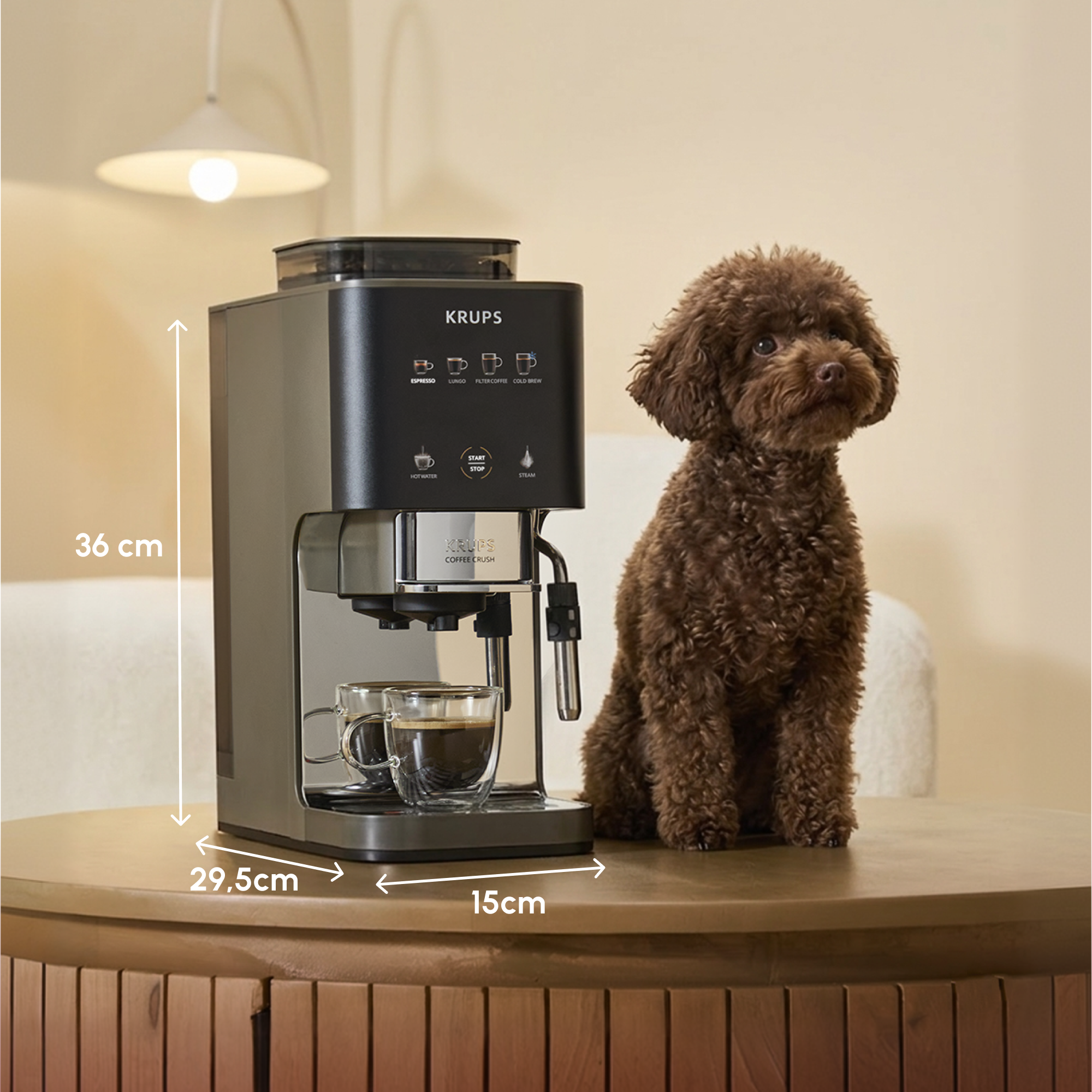 Una perra caniche marrón se sienta junto a una cafetera Krups negra con dos tazas de café.