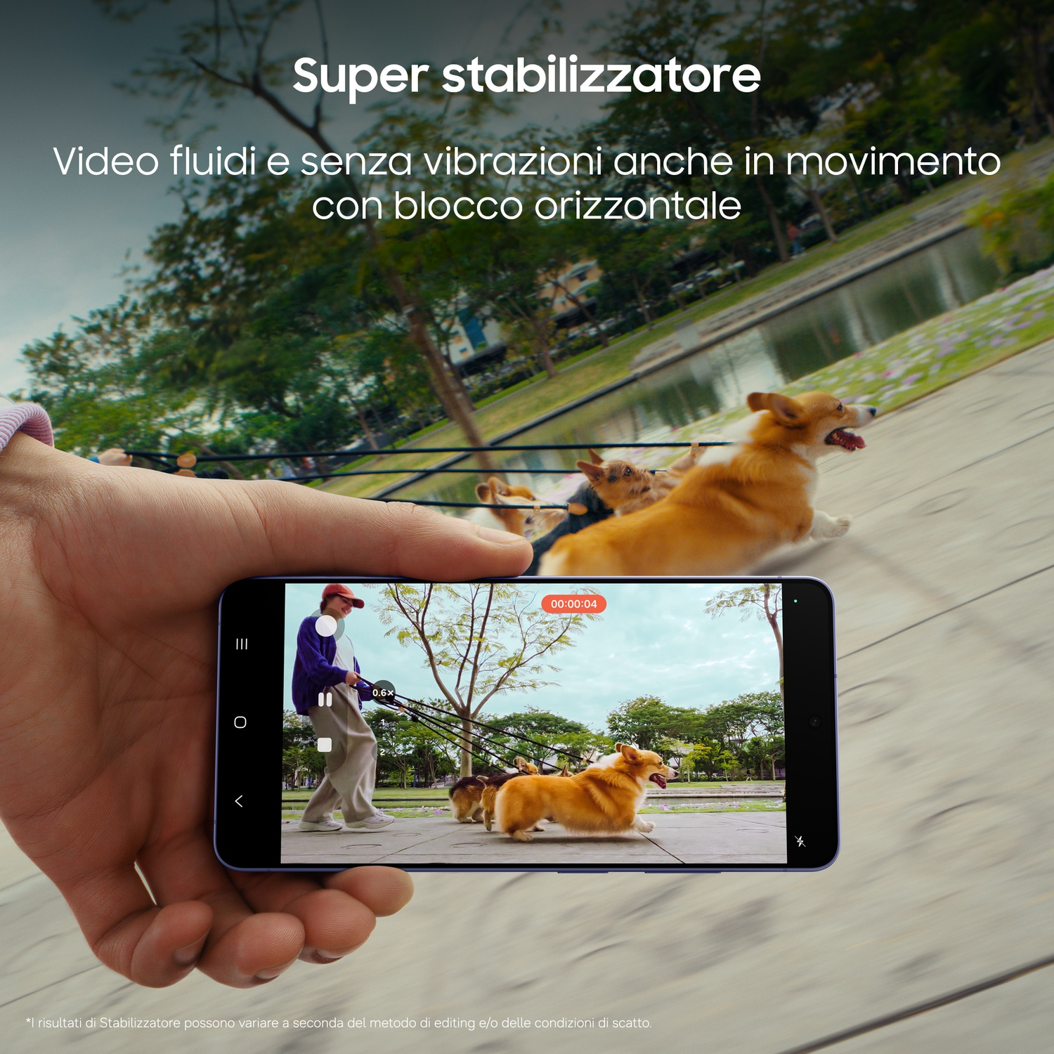 Una mano tiene un telefono che mostra due corgi passeggiare con il proprietario. Testo stabilizzatore.