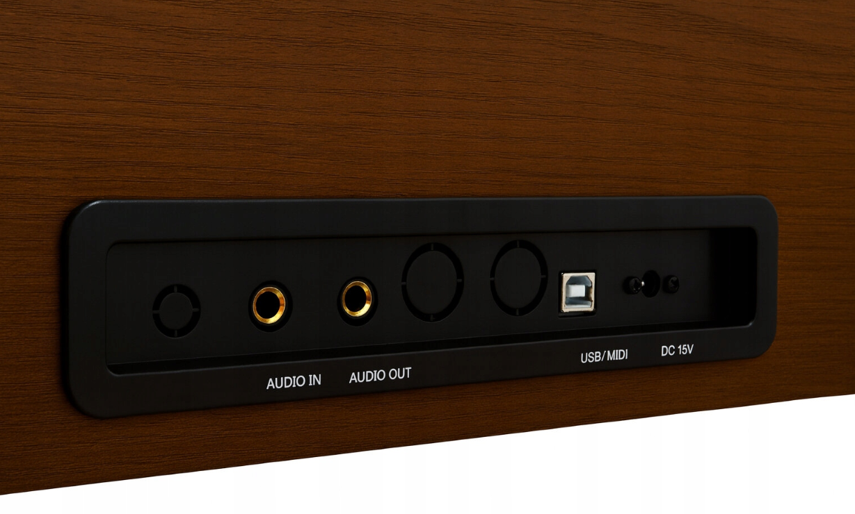 Panel przyłączy z portami audio, USB/MIDI i 15V DC.