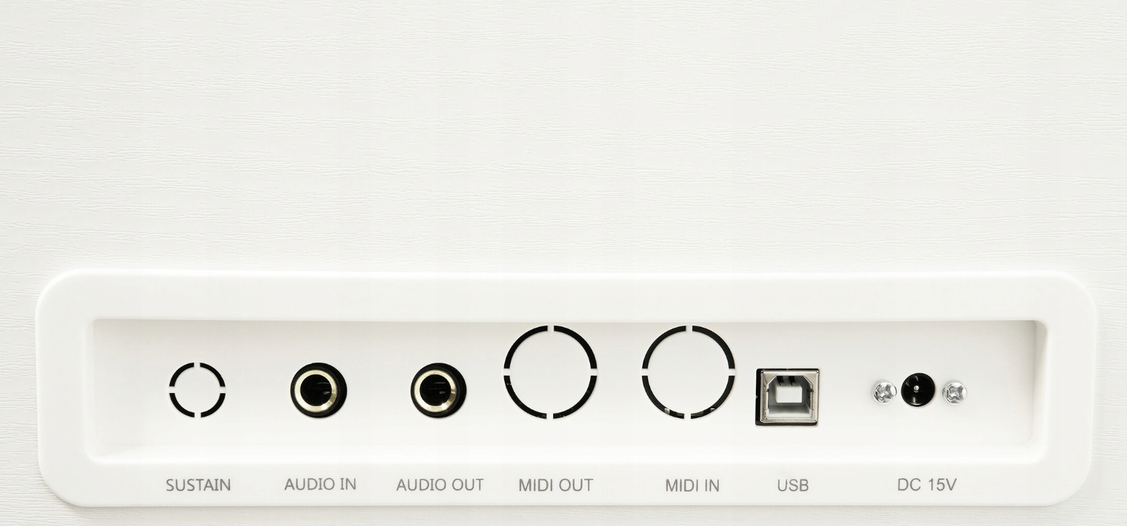 Panel przyłączeniowy z portami Sustain, Audio, MIDI, USB i wejściem DC 15V.