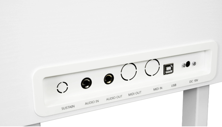 Panel przyłączeniowy z portami sustain, audio, MIDI, USB i 15V DC.