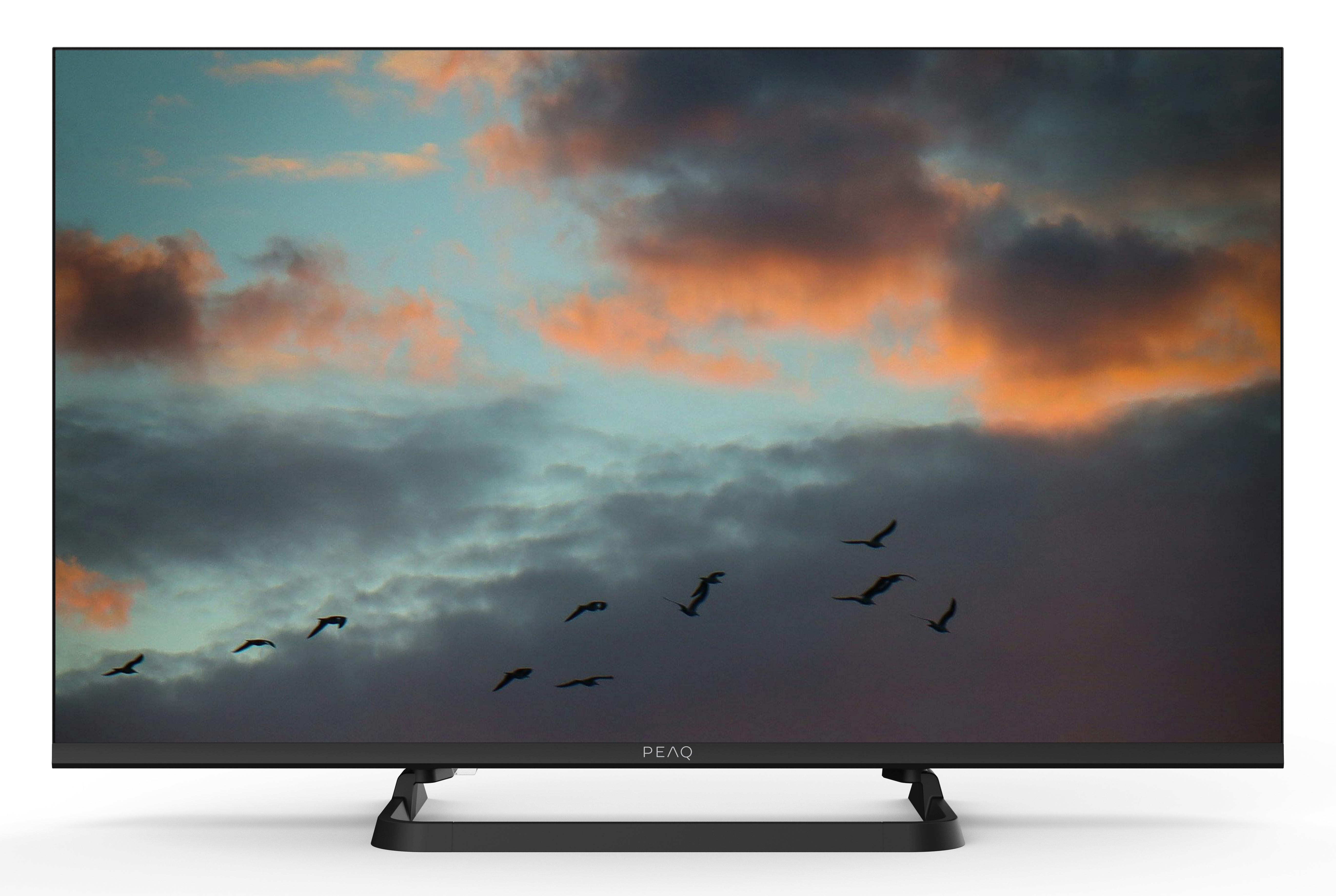 Ptaki lecą na niebie z dramatycznymi chmurami o zachodzie słońca.