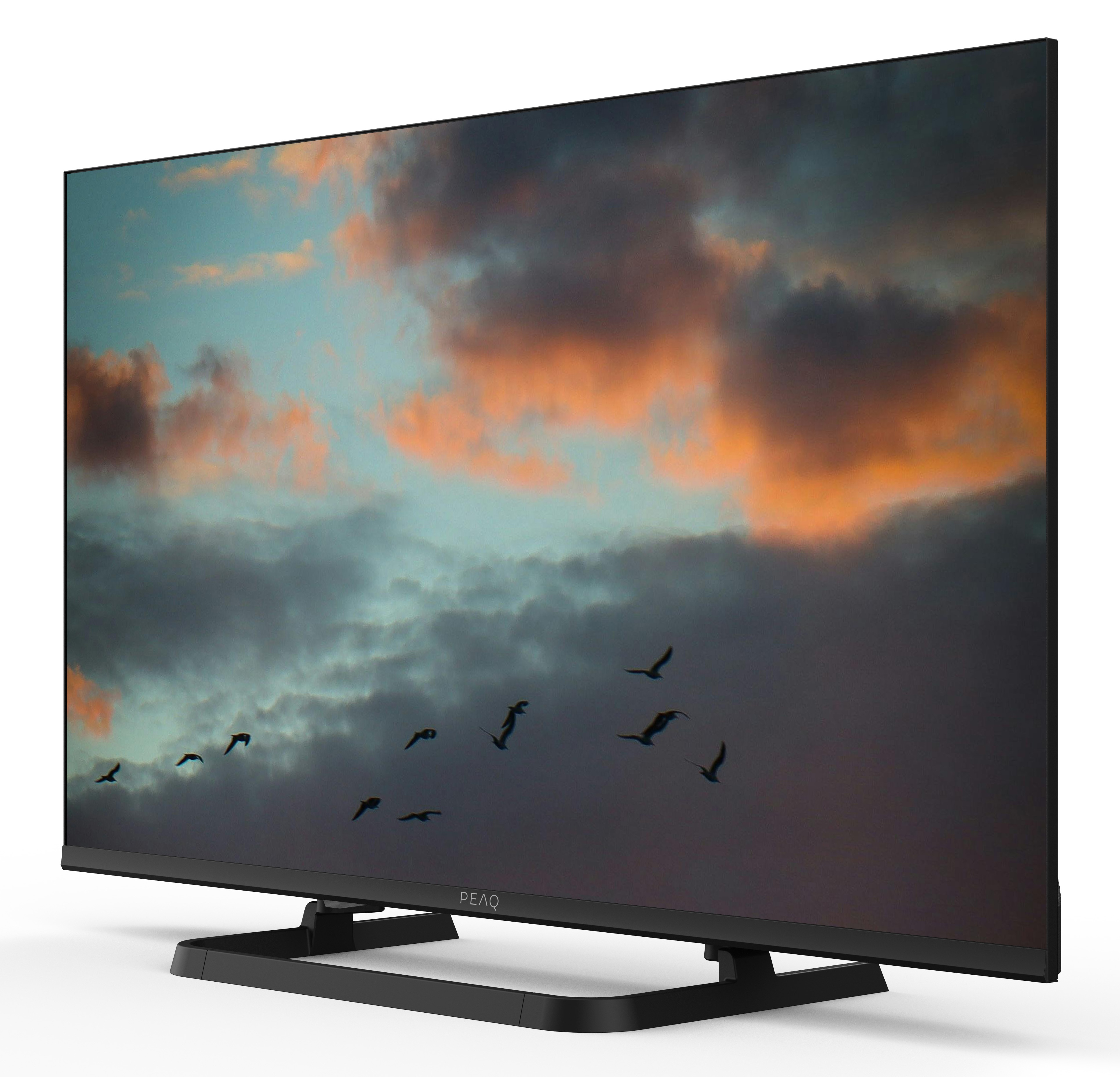 Telewizor wyświetla niebo z chmurami i ptakami w locie.