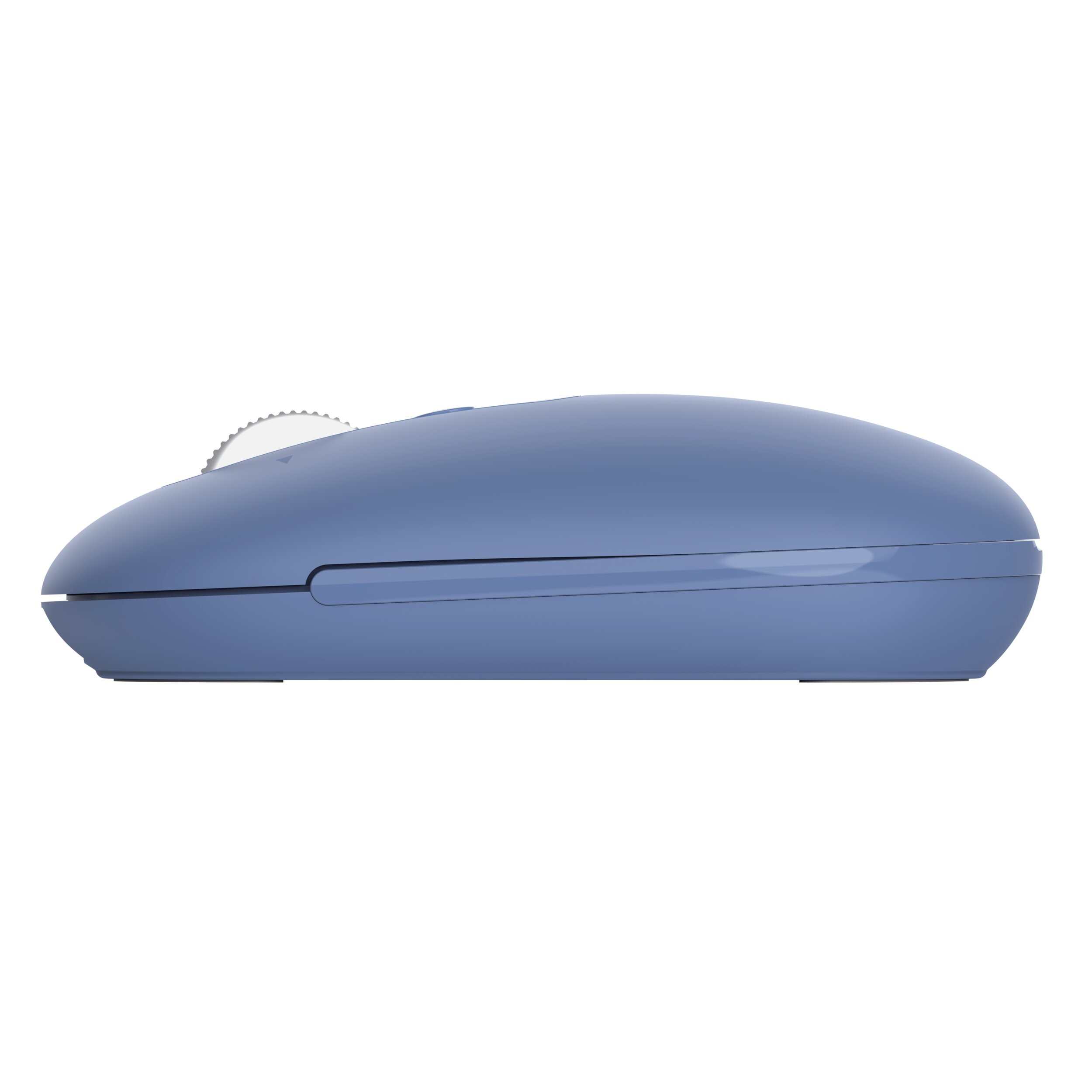 Un mouse per computer blu con rotellina di scorrimento argentata. Vista laterale.