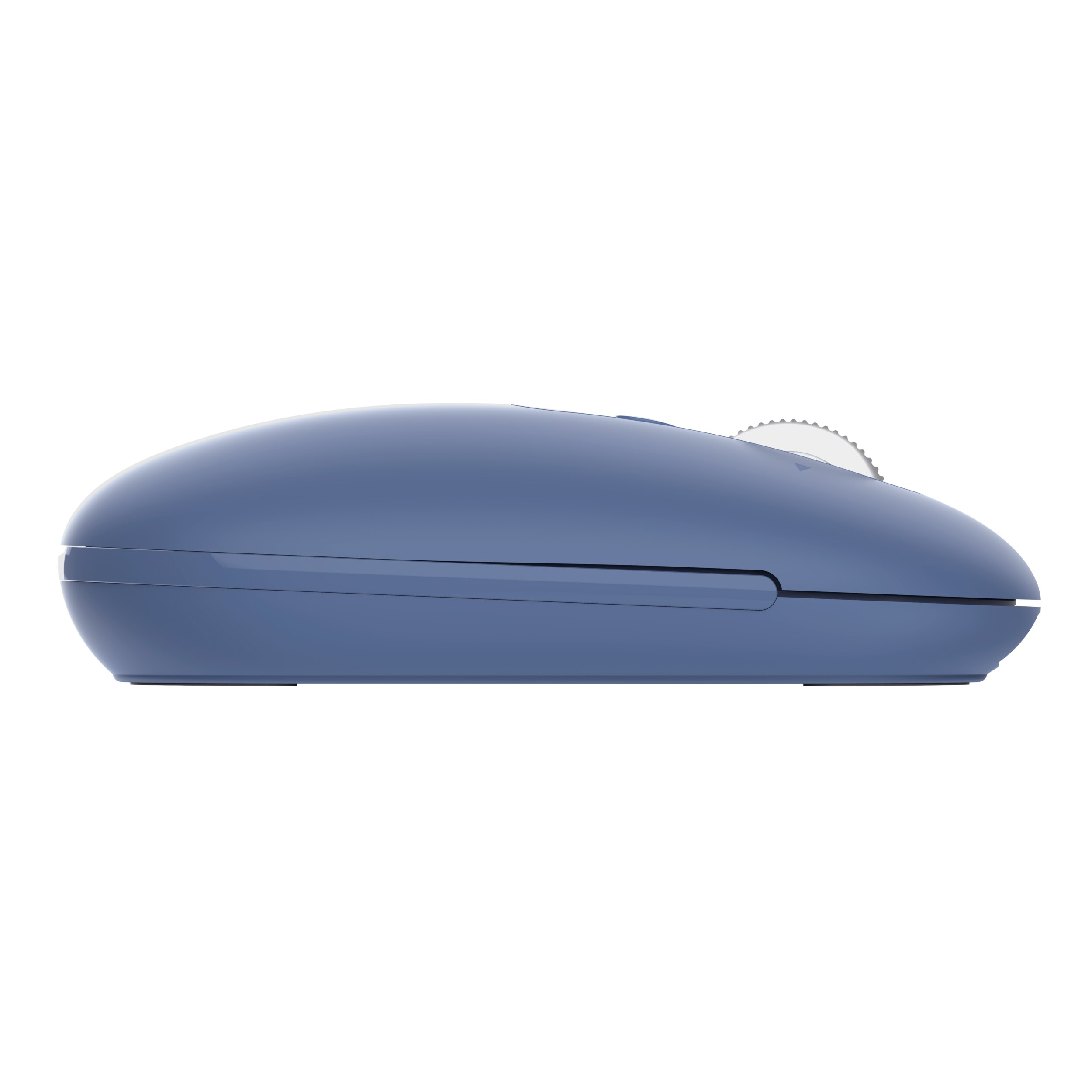 Un mouse per computer blu con rotella e due pulsanti, visto di lato.