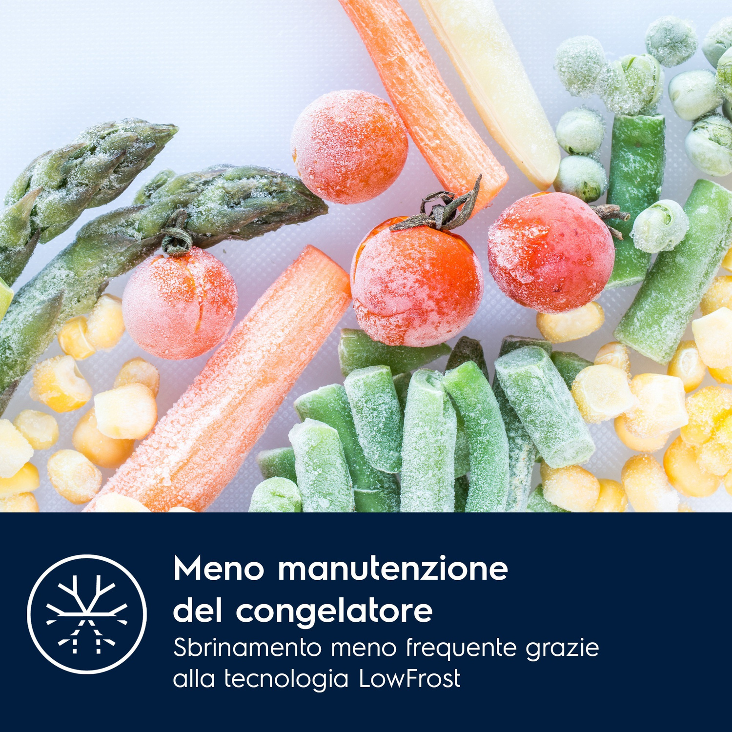 Verdure congelate: piselli, carote, fagiolini, pomodori e mais su sfondo bianco.