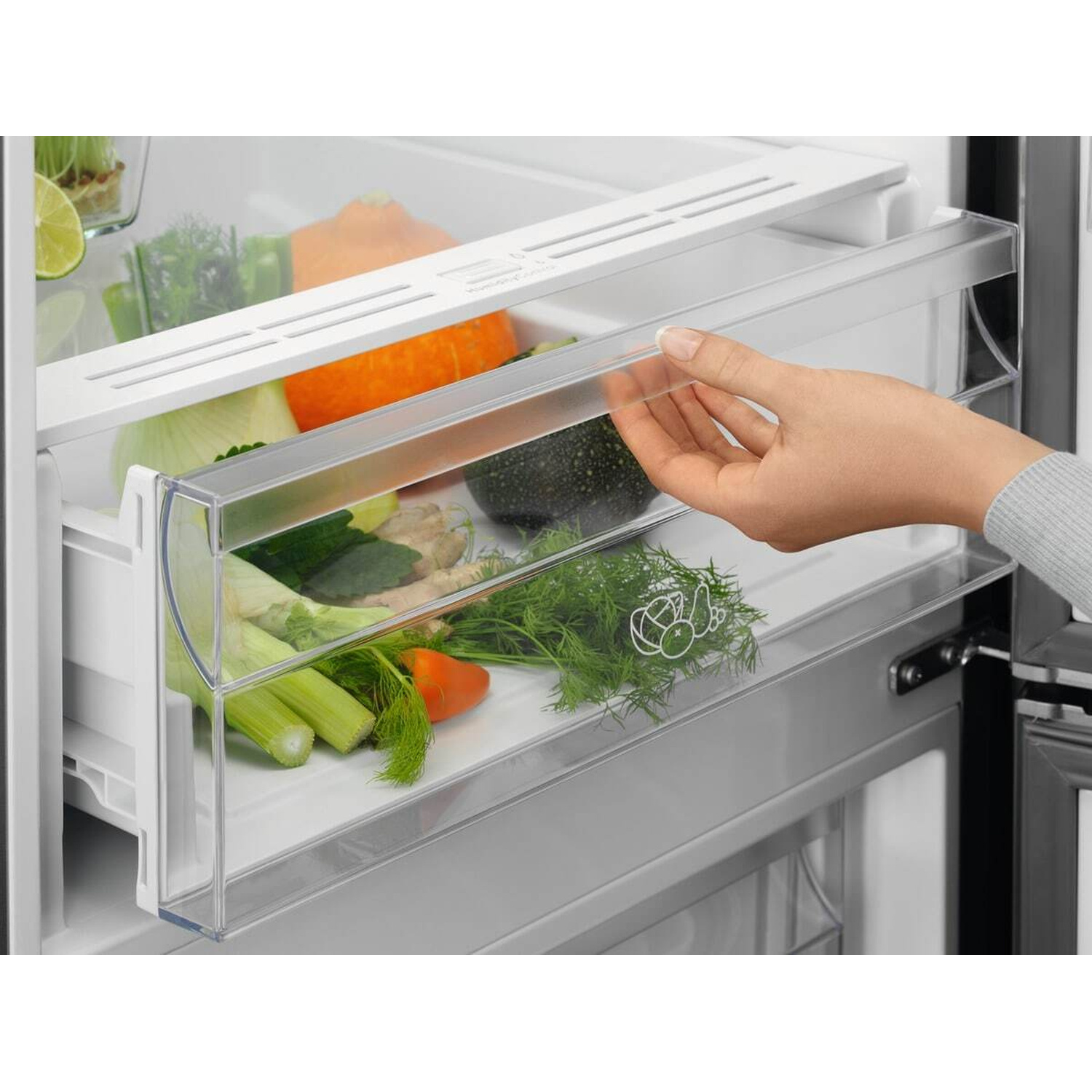 Una mano apre un cassetto pieno di verdure fresche dentro un frigorifero.