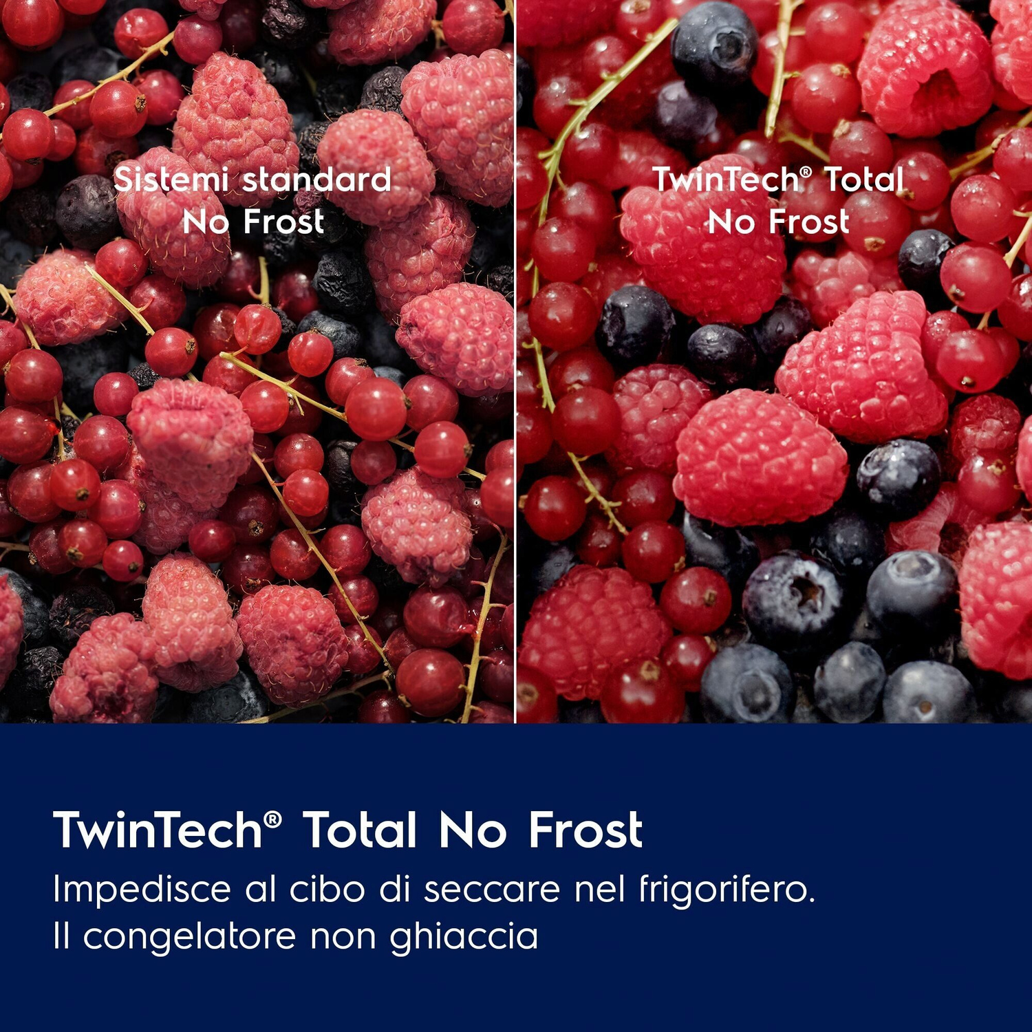Primo piano di frutti di bosco: lamponi, mirtilli e ribes.