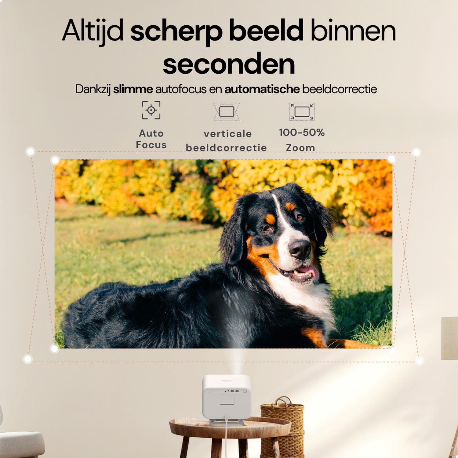 Een Berner Sennenhond ligt in het gras. Een projector projecteert de afbeelding.