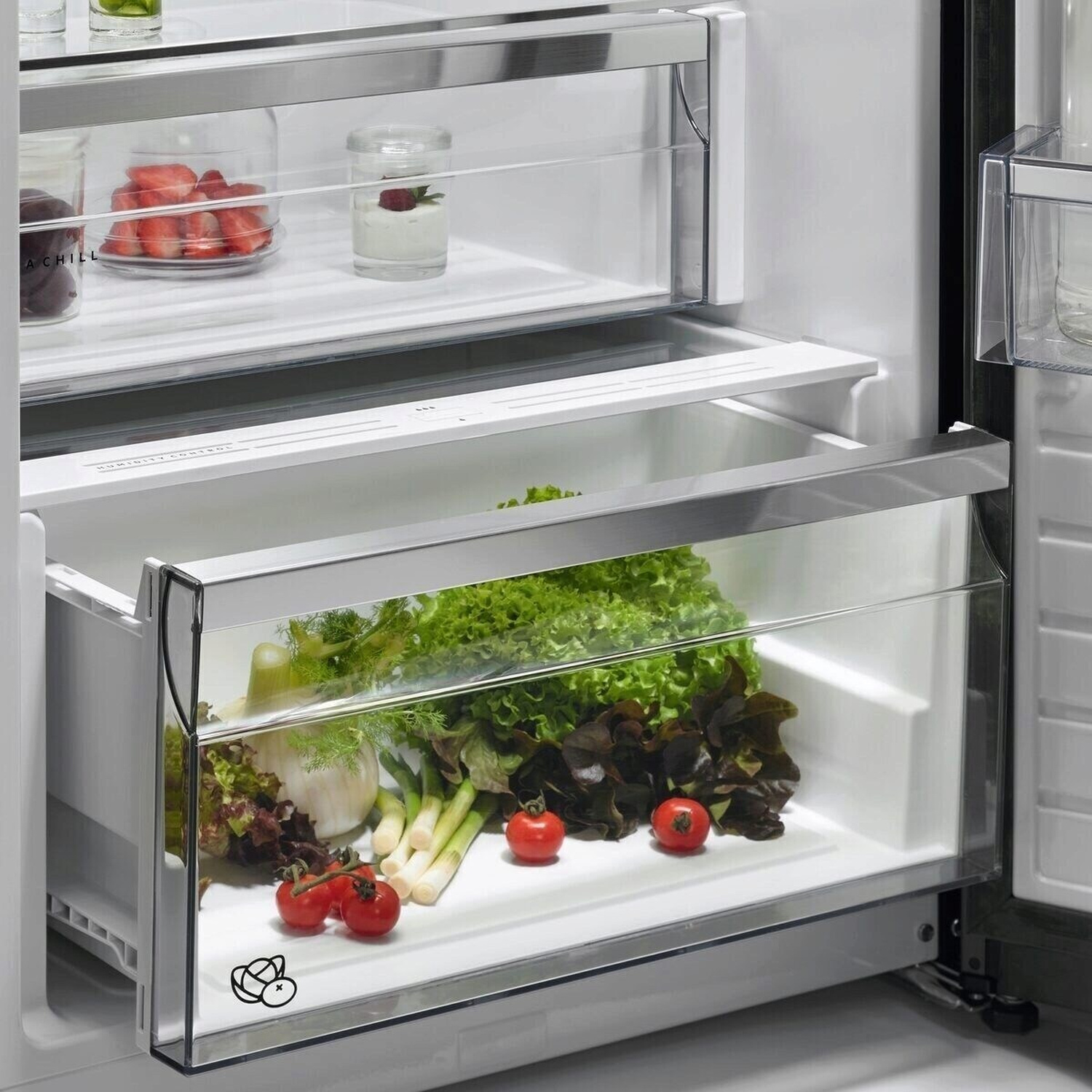 Verdure fresche in un cassetto del frigorifero: lattuga, finocchio, cipollotti e pomodori.