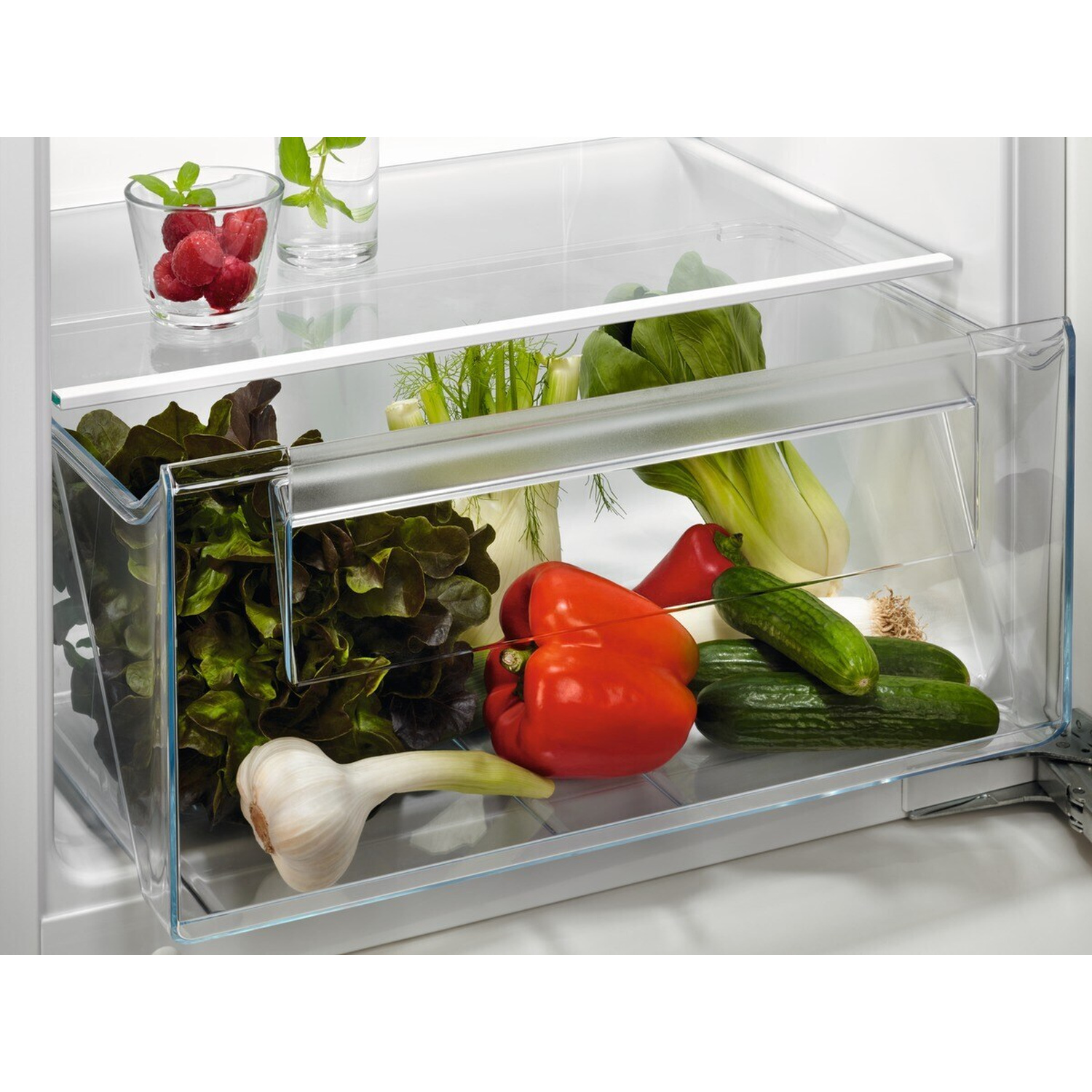 Verdure fresche come lattuga, cetrioli, peperone e aglio in un cassetto del frigorifero.