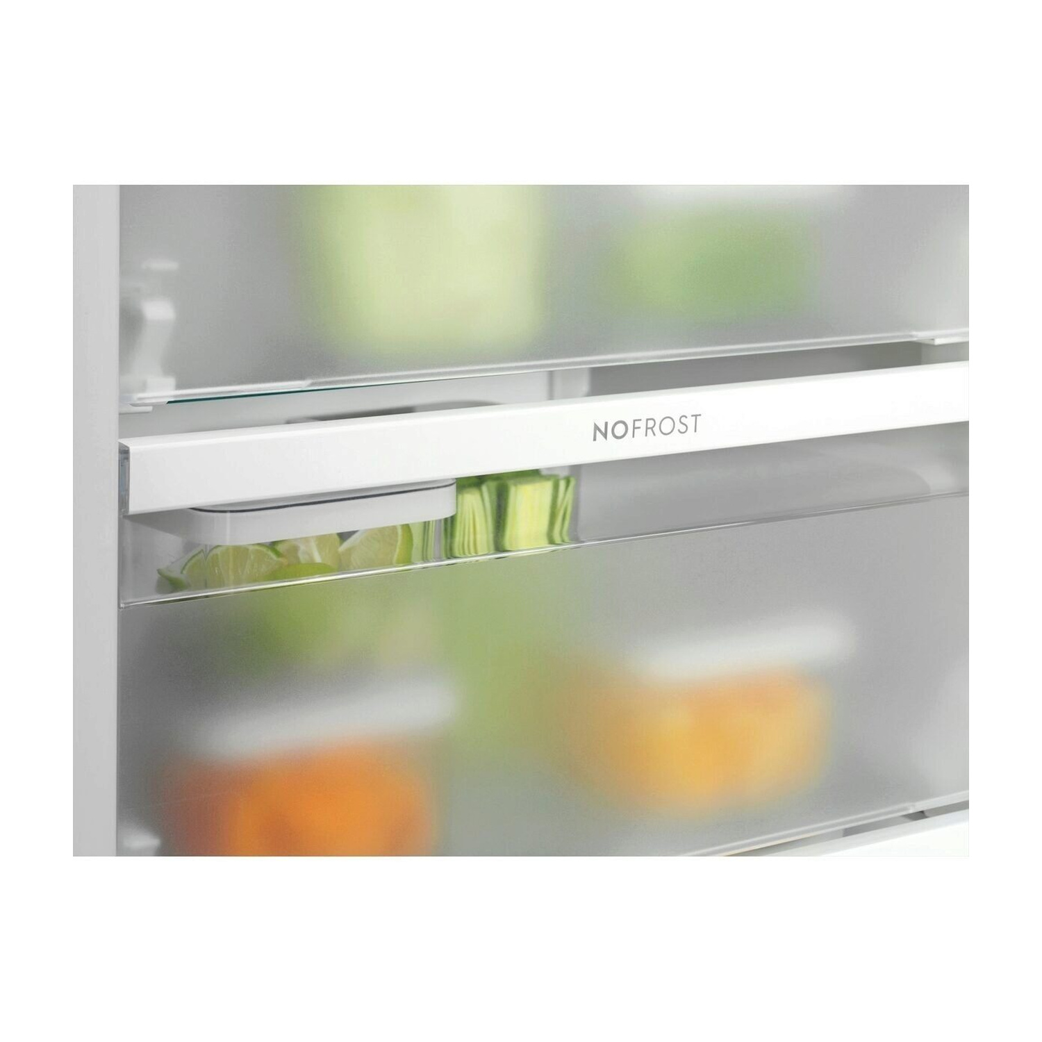 Scomparto frigorifero con scritta NO FROST, riempito con lime e arance.