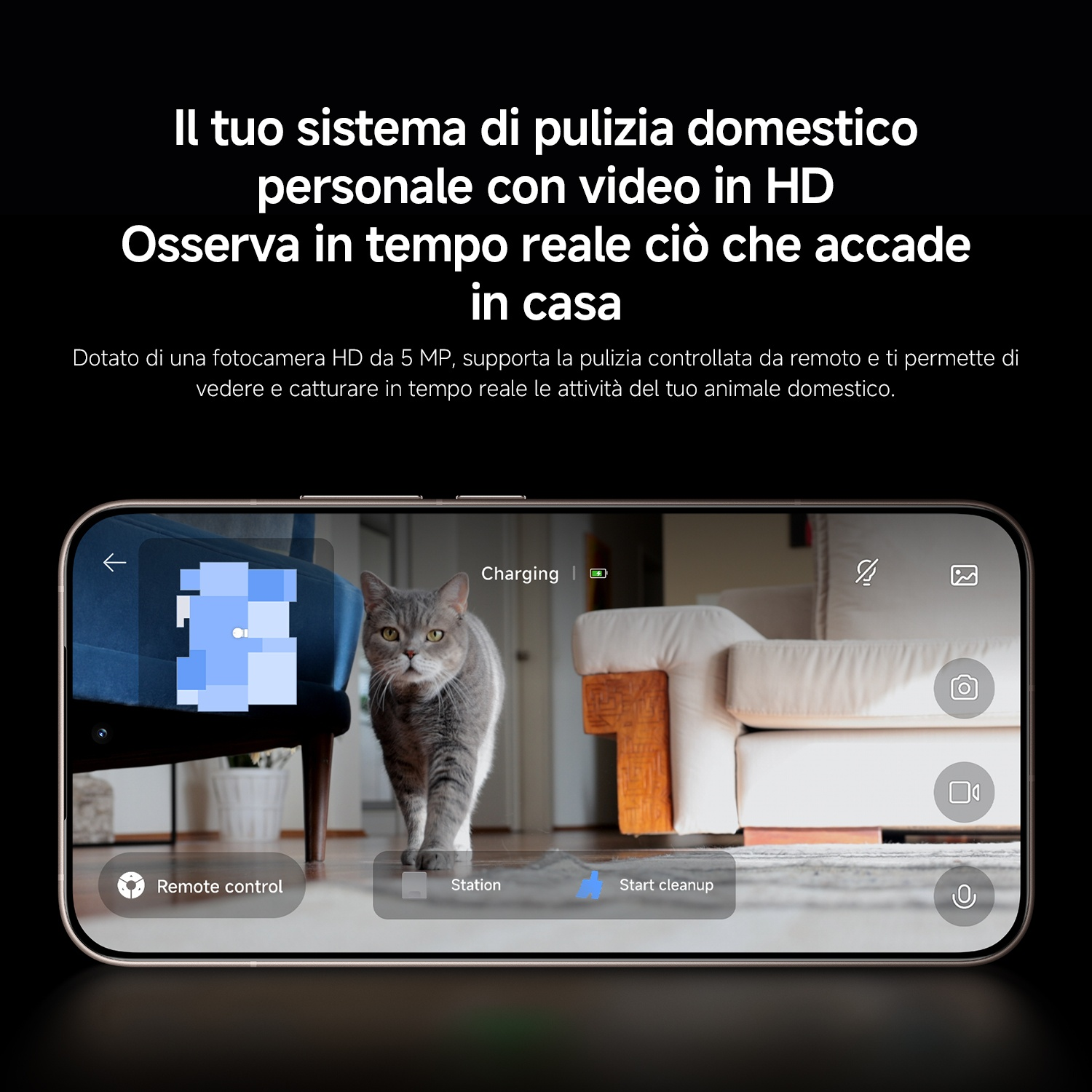 Un gatto cammina su un tappeto davanti a un divano, visualizzato su un telefono.
