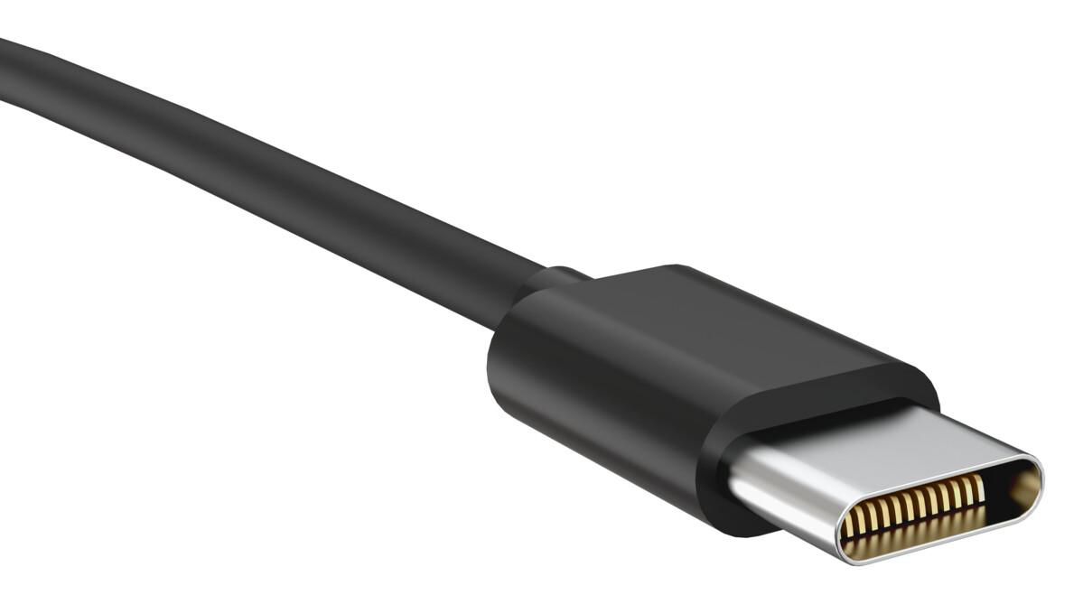 Ein schwarzes USB-C-Kabel mit silbernem Stecker und goldenen Kontakten.