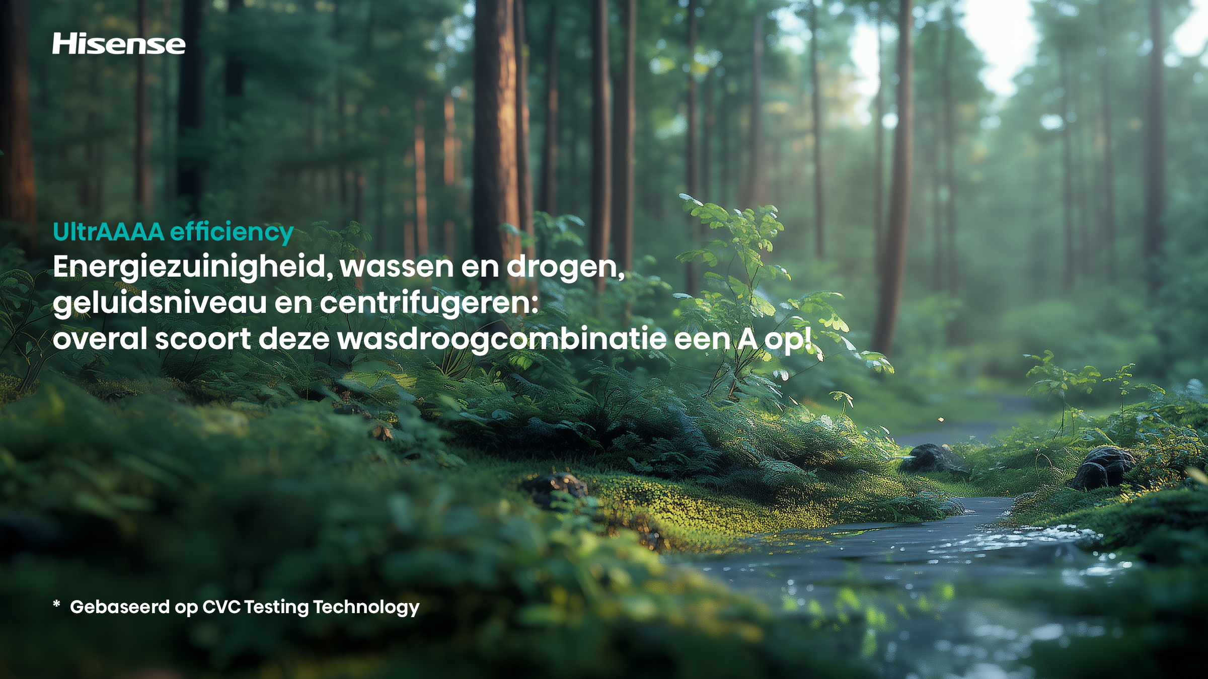 Bospad met water, bomen en groen mos. Hisense logo en tekst.