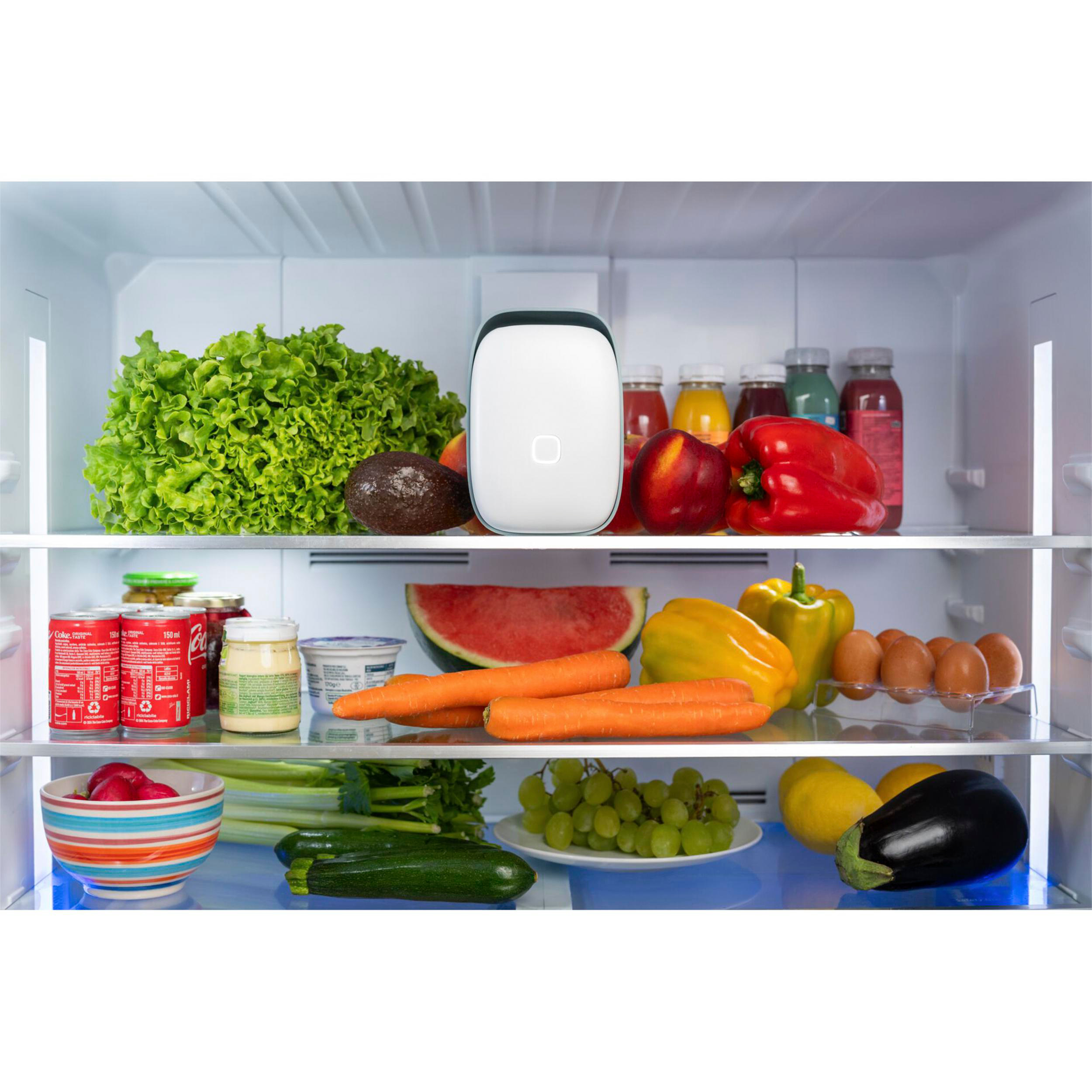 Ein Kühlschrank mit Lebensmitteln: Salat, Avocado, Obst, Gemüse, Eier, Getränke und ein weißes Gerät.