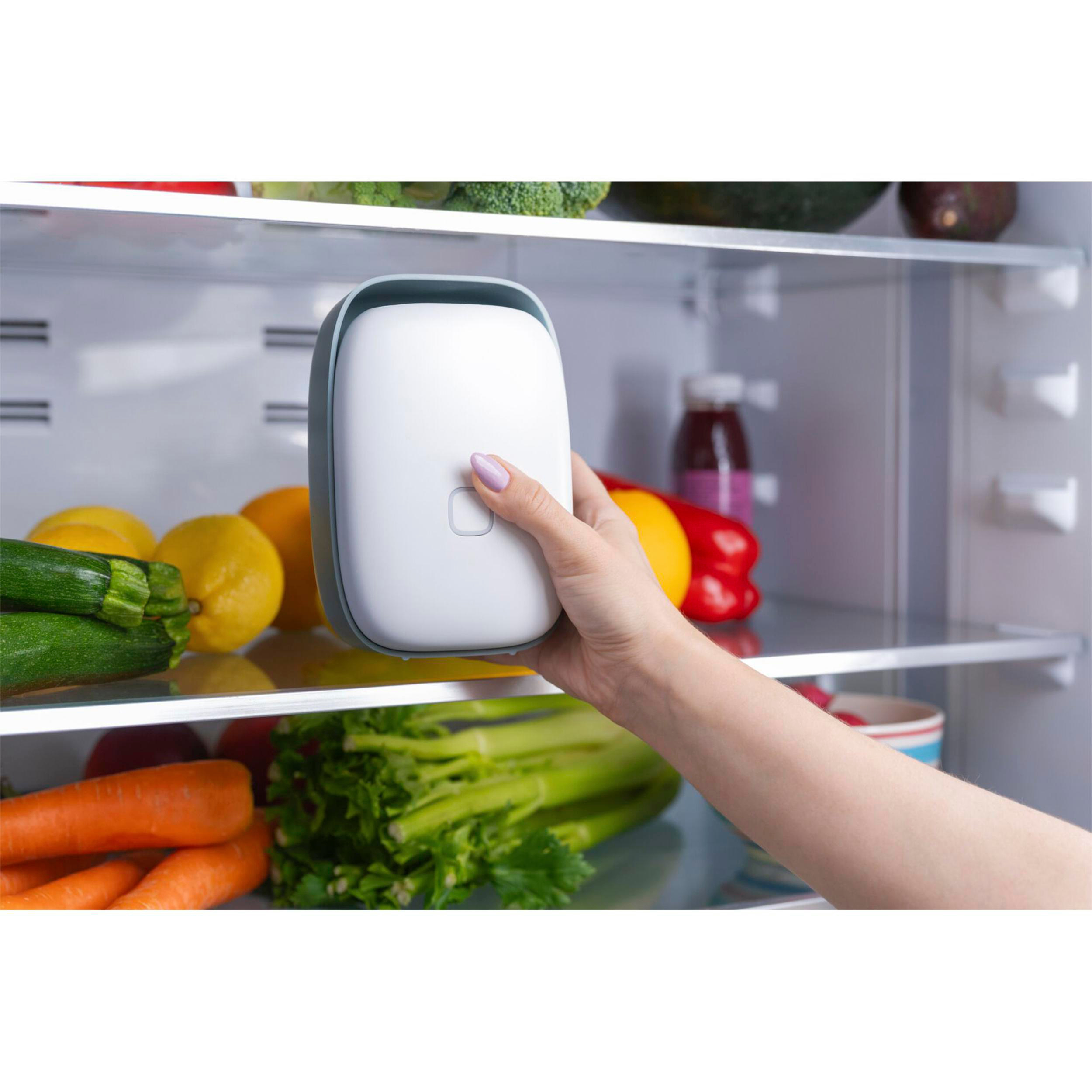 Eine Hand platziert ein weißes Gerät im Kühlschrank neben Gemüse und Obst.
