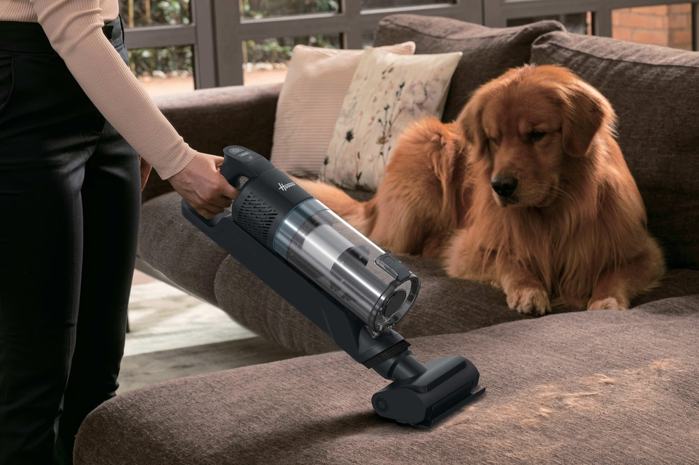 Una persona aspira un divano con un cane seduto sopra. Peli di animali visibili sul divano.