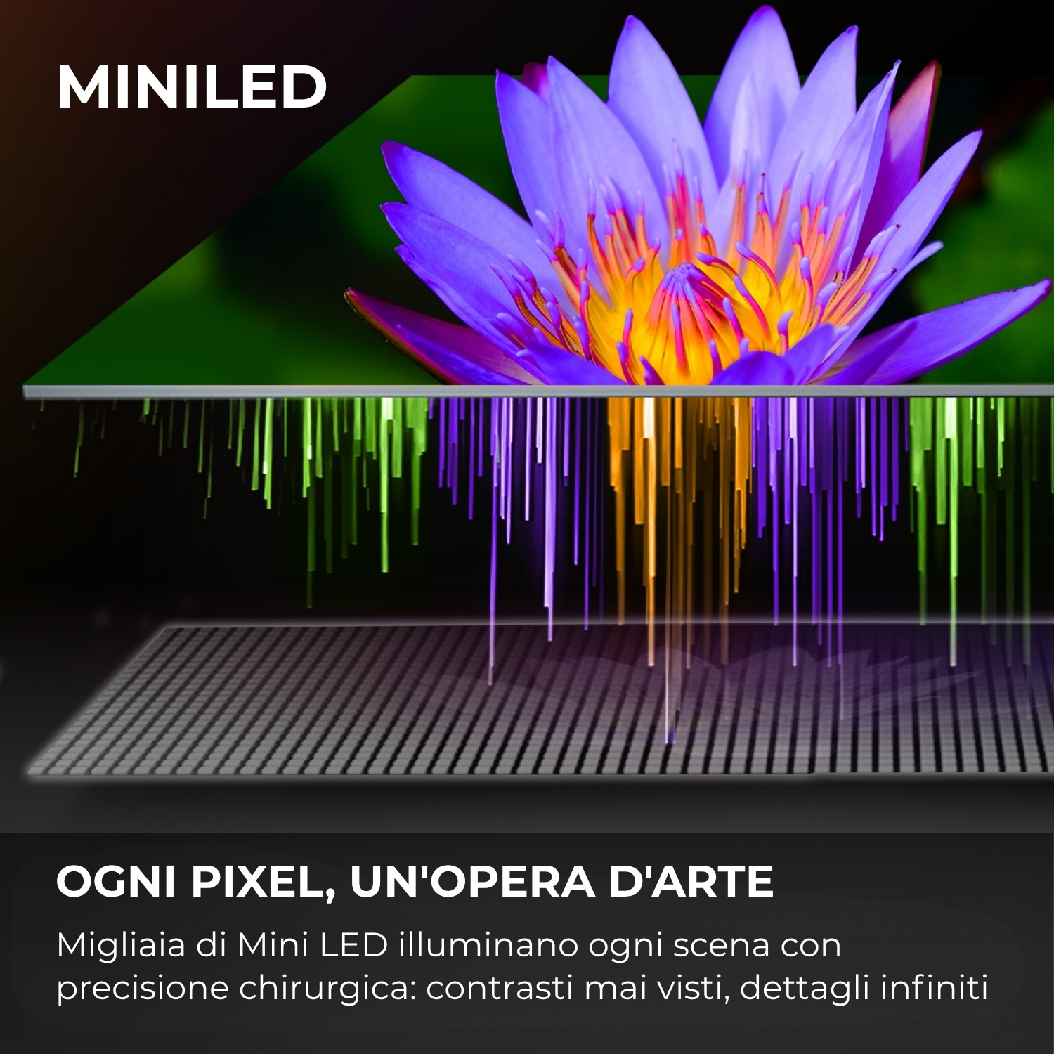 Primo piano di un fiore di loto viola con effetto di illuminazione Mini-LED.