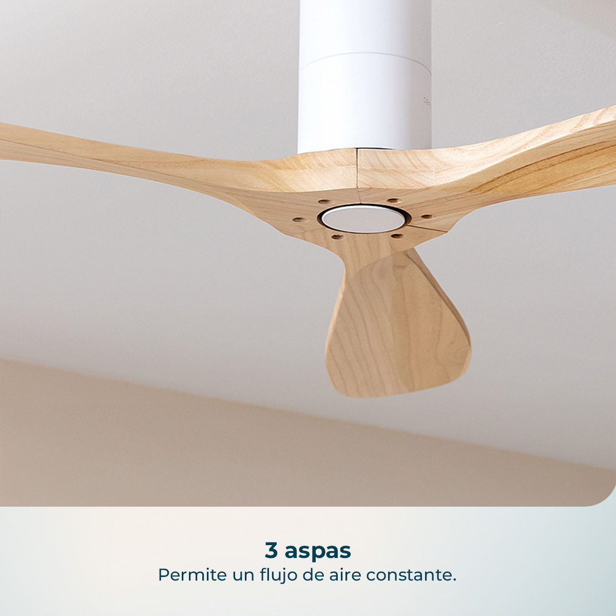 Un ventilador de techo blanco con tres aspas de madera montado en el techo.