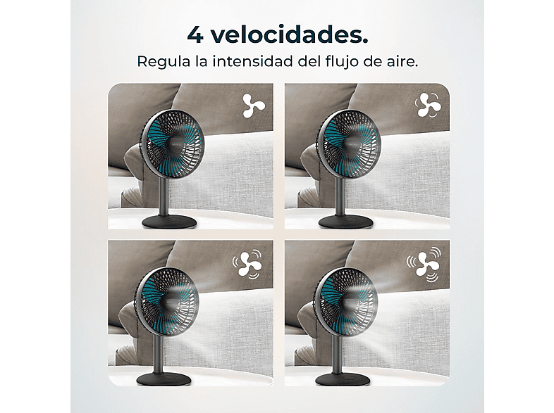 Vista 3