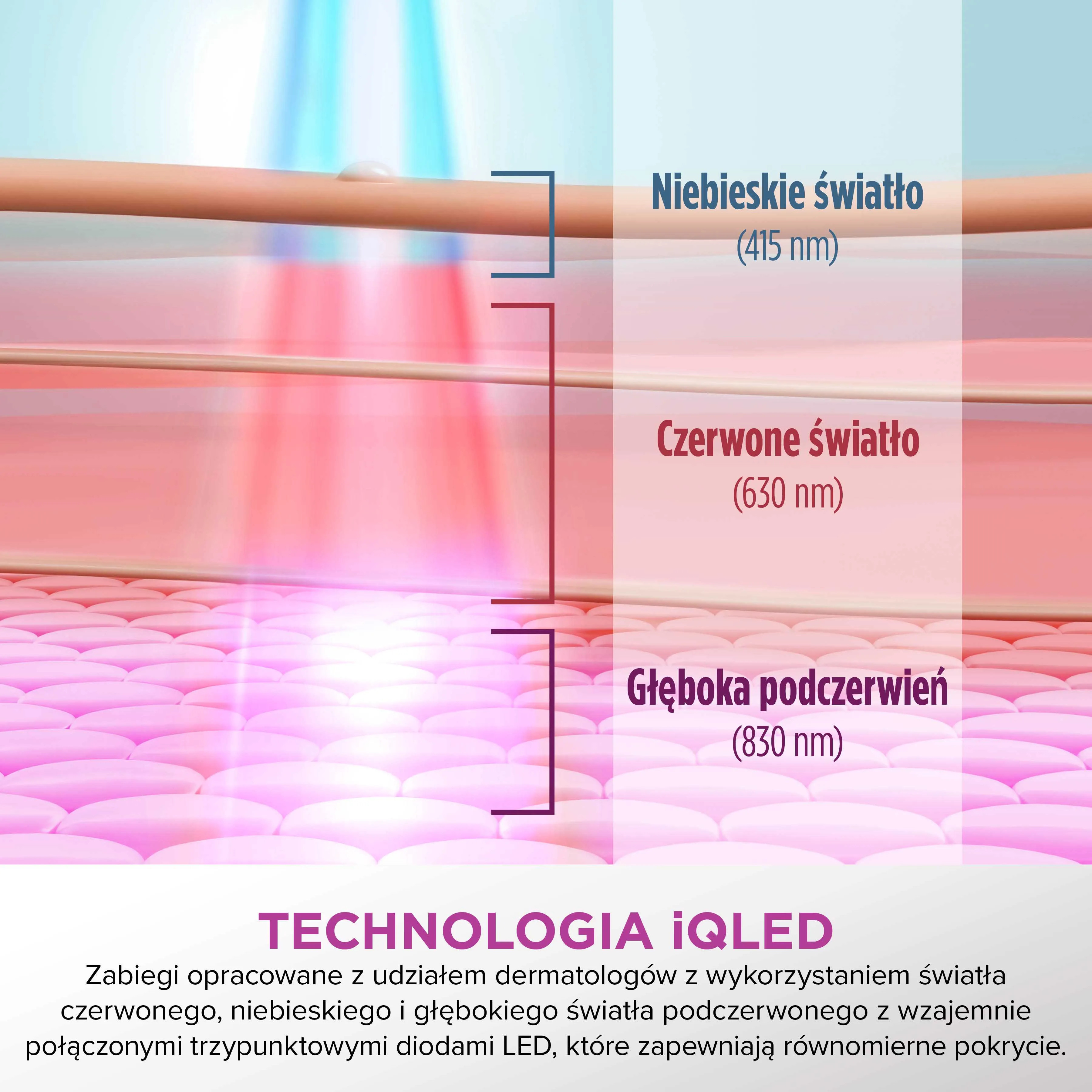 Grafika pokazuje warstwy skóry z niebieskim, czerwonym i IR światłem.