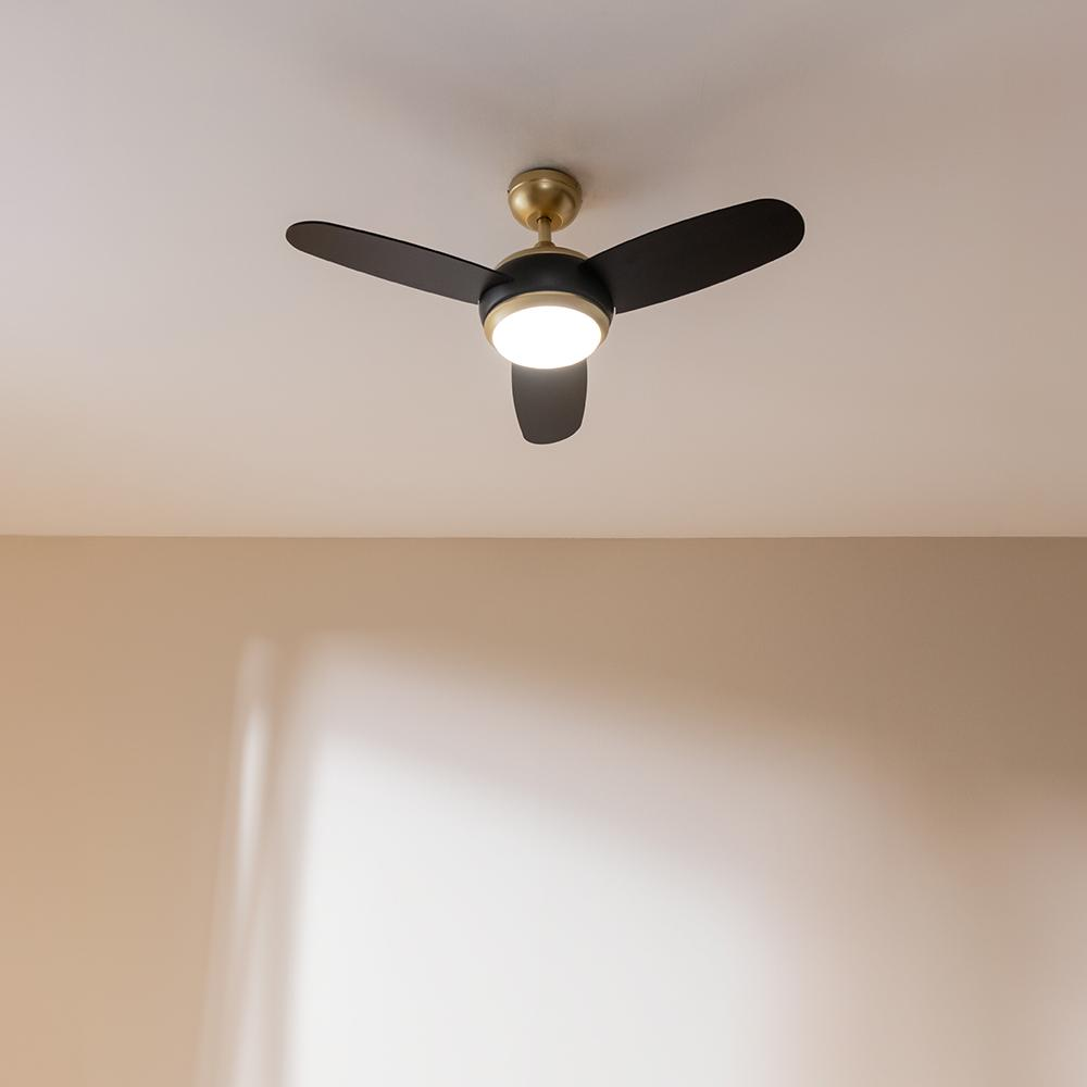 Un ventilador de techo moderno negro con tres aspas y centro dorado está iluminado.