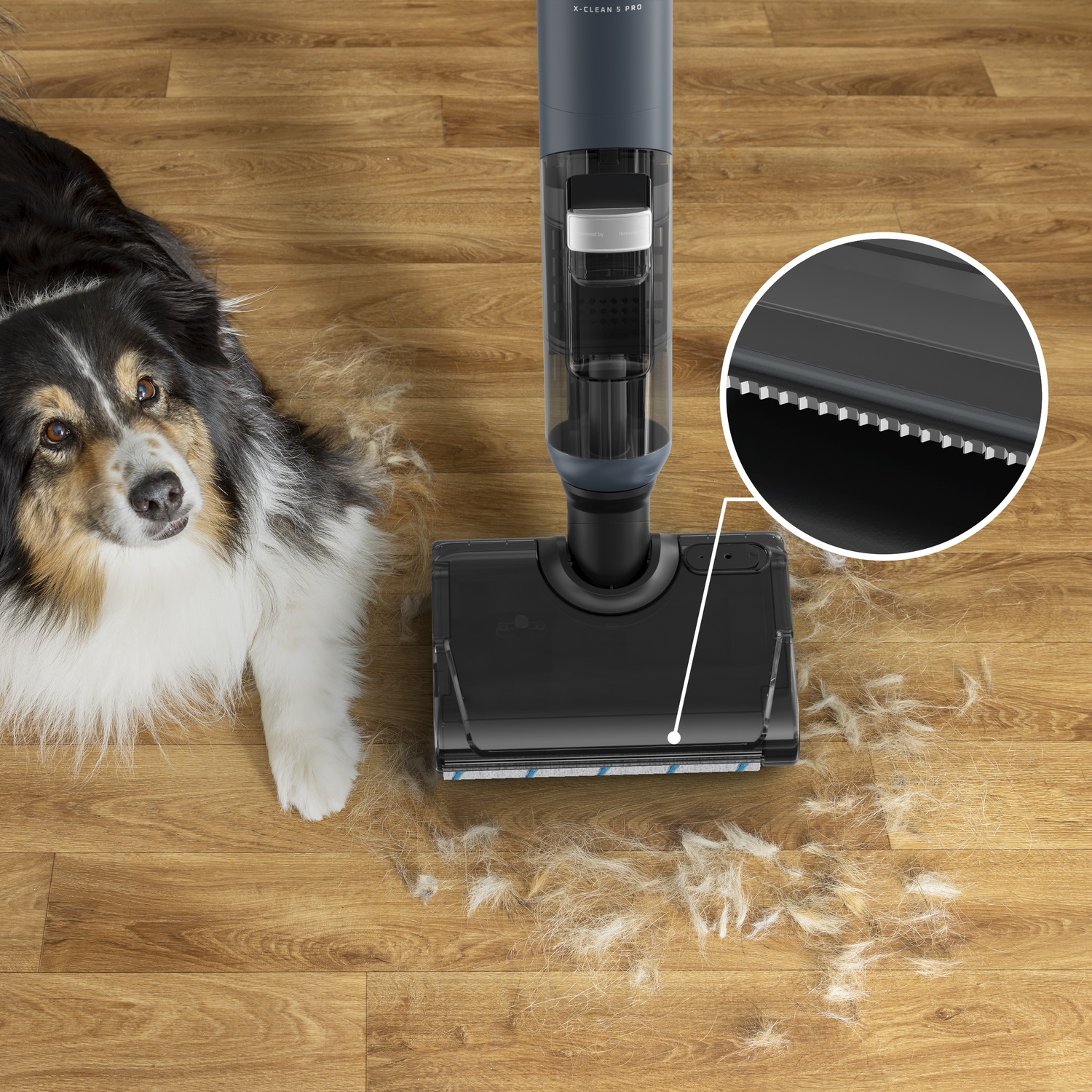 A dog lies on a wooden floor next to a pile of collected dog hair.