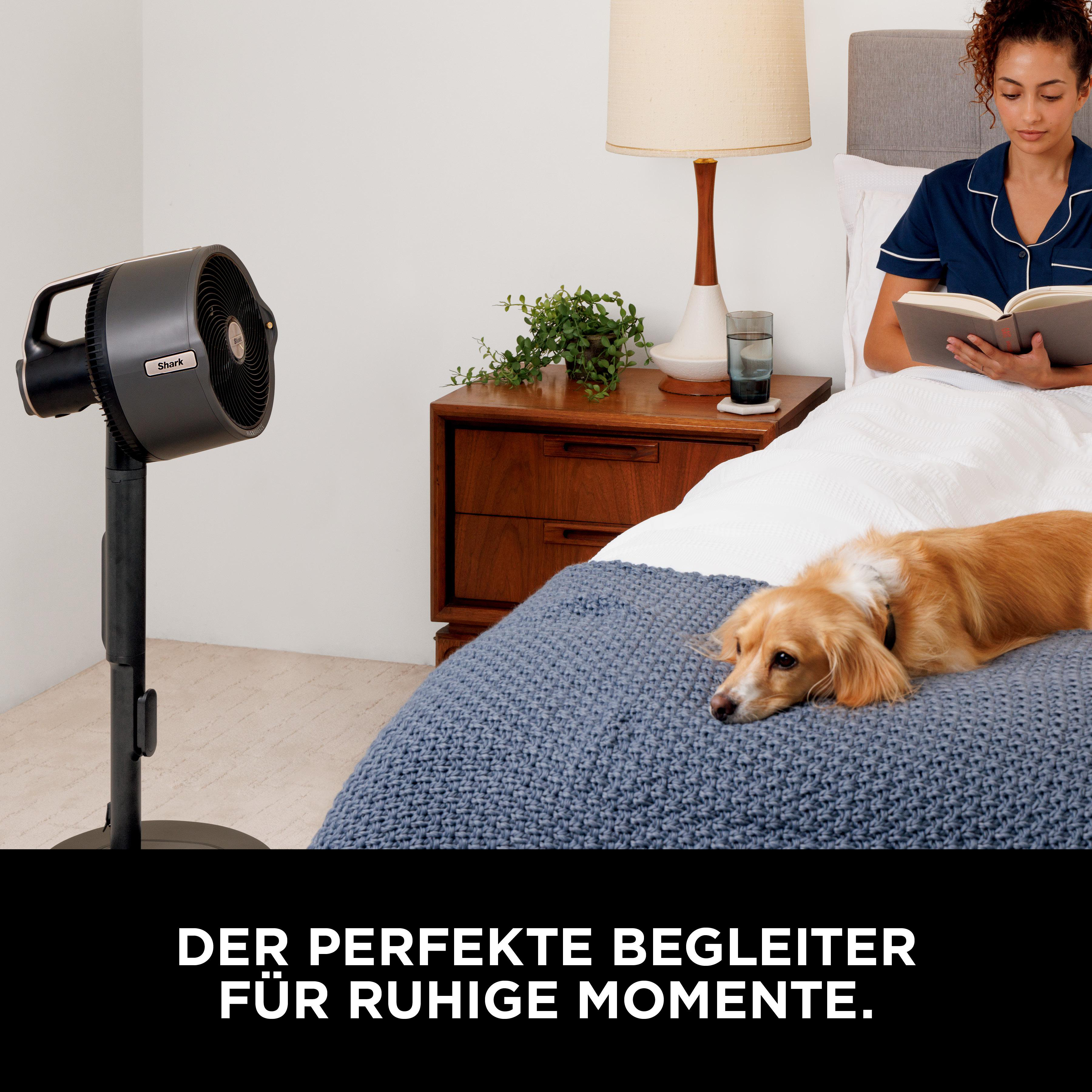 Ein Hund liegt auf einem Bett neben einer lesenden Frau und einem Ventilator.