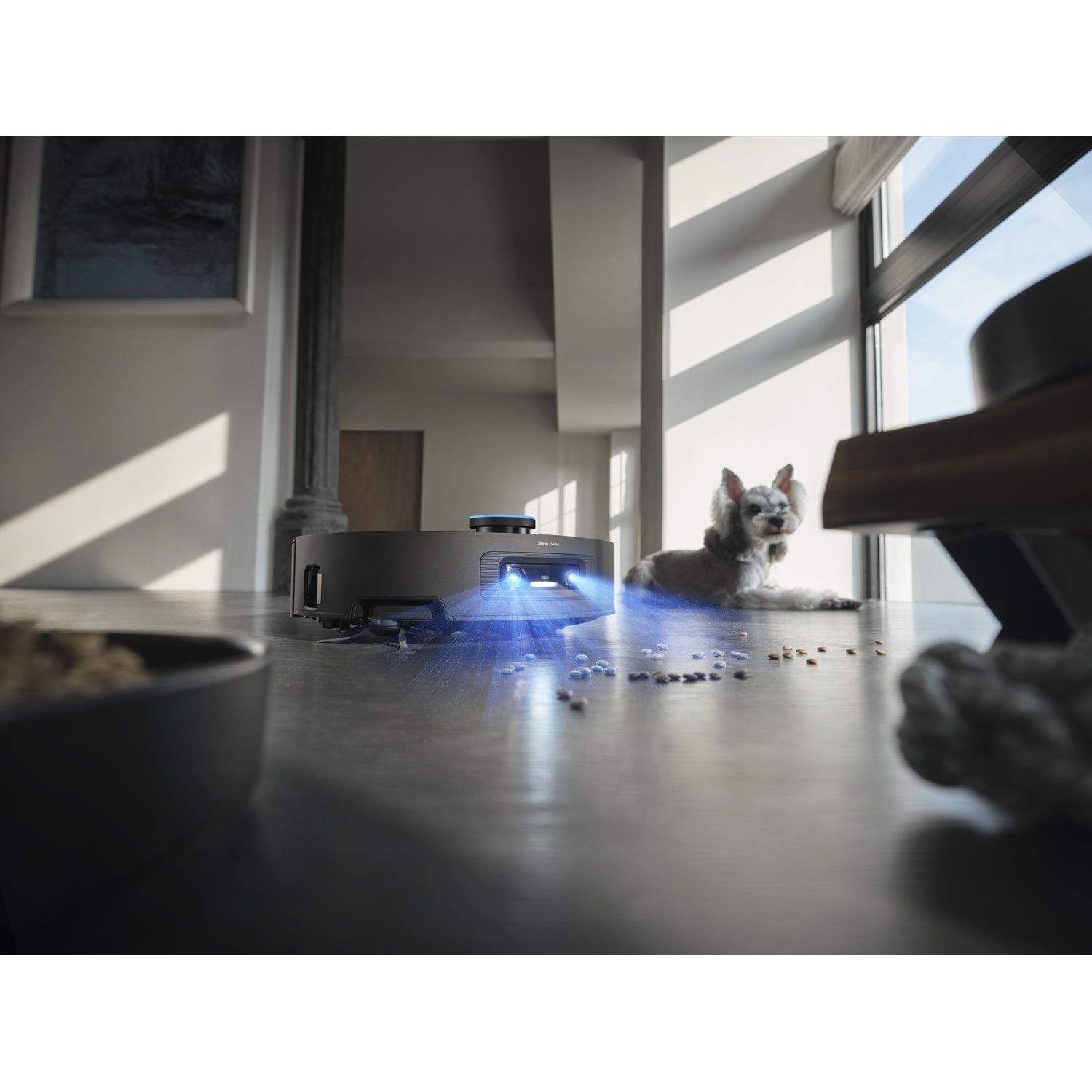 A robot vacuum cleans the floor, a dog lies nearby.