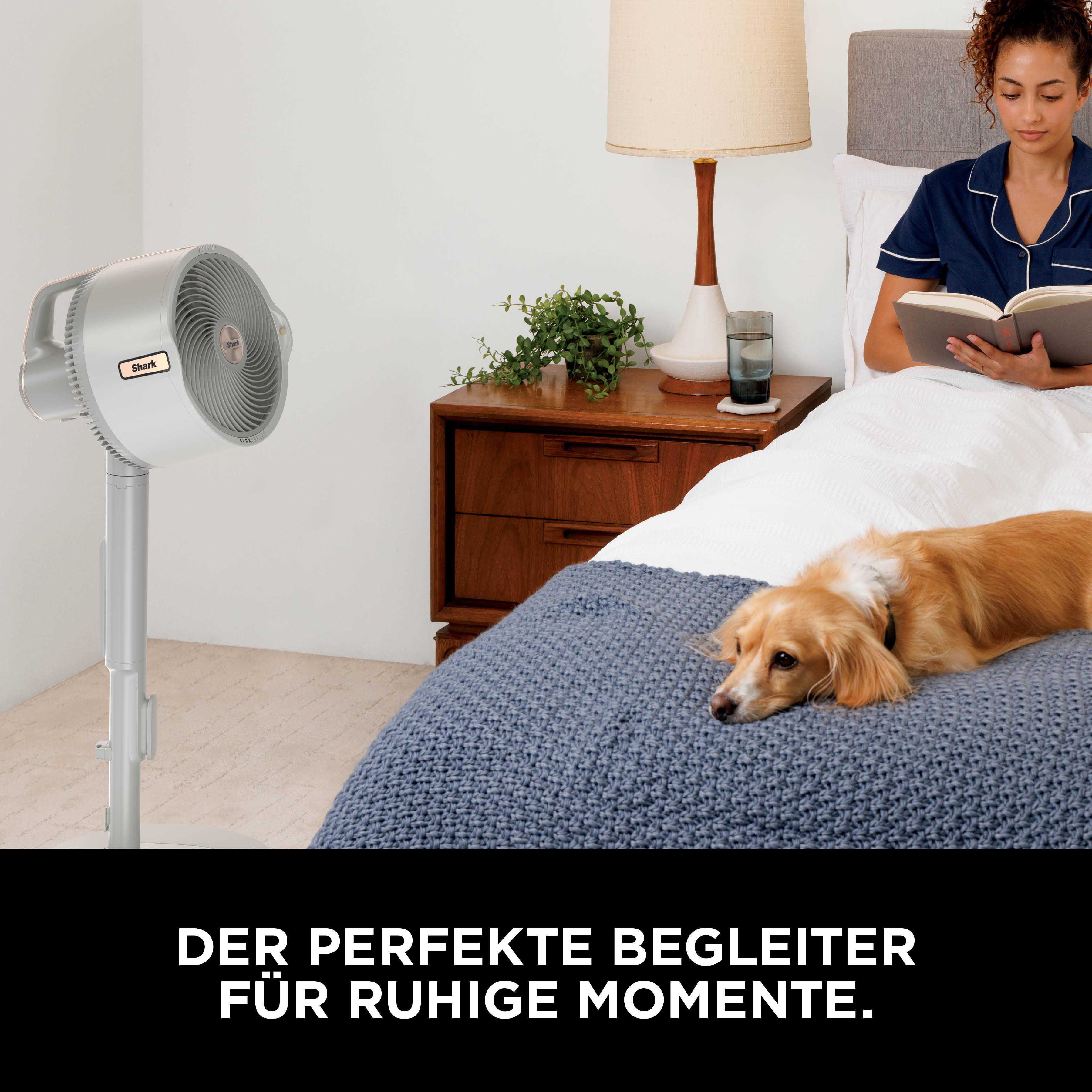 Ein Hund liegt auf einem Bett neben einer Frau, die liest. Ein Ventilator steht daneben.