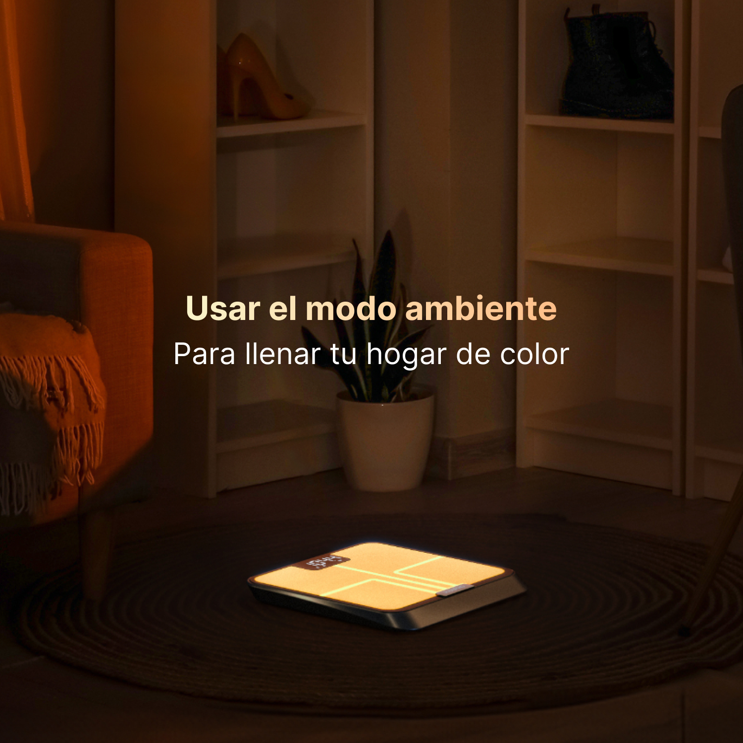 Una báscula brillante sobre una alfombra en una habitación oscura con muebles.