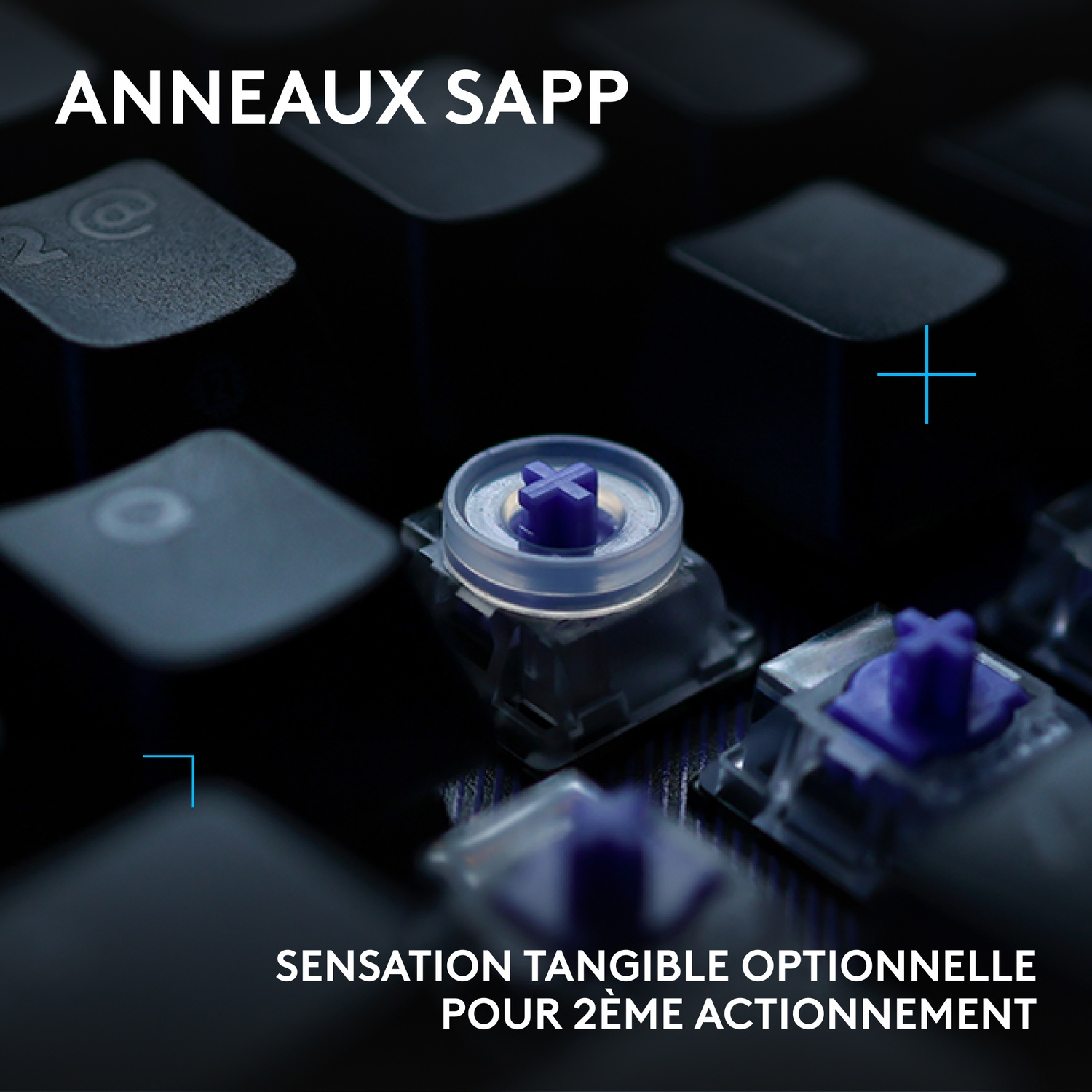 Gros plan sur des commutateurs de clavier avec des croix violettes et des anneaux transparents.