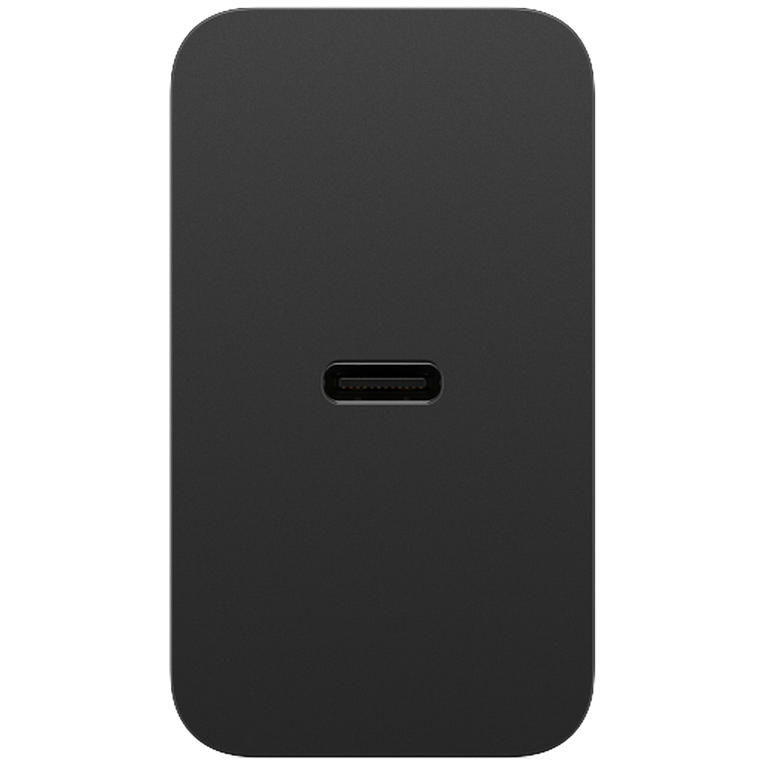Black USB-C port on a rounded rectangular power adapter.
