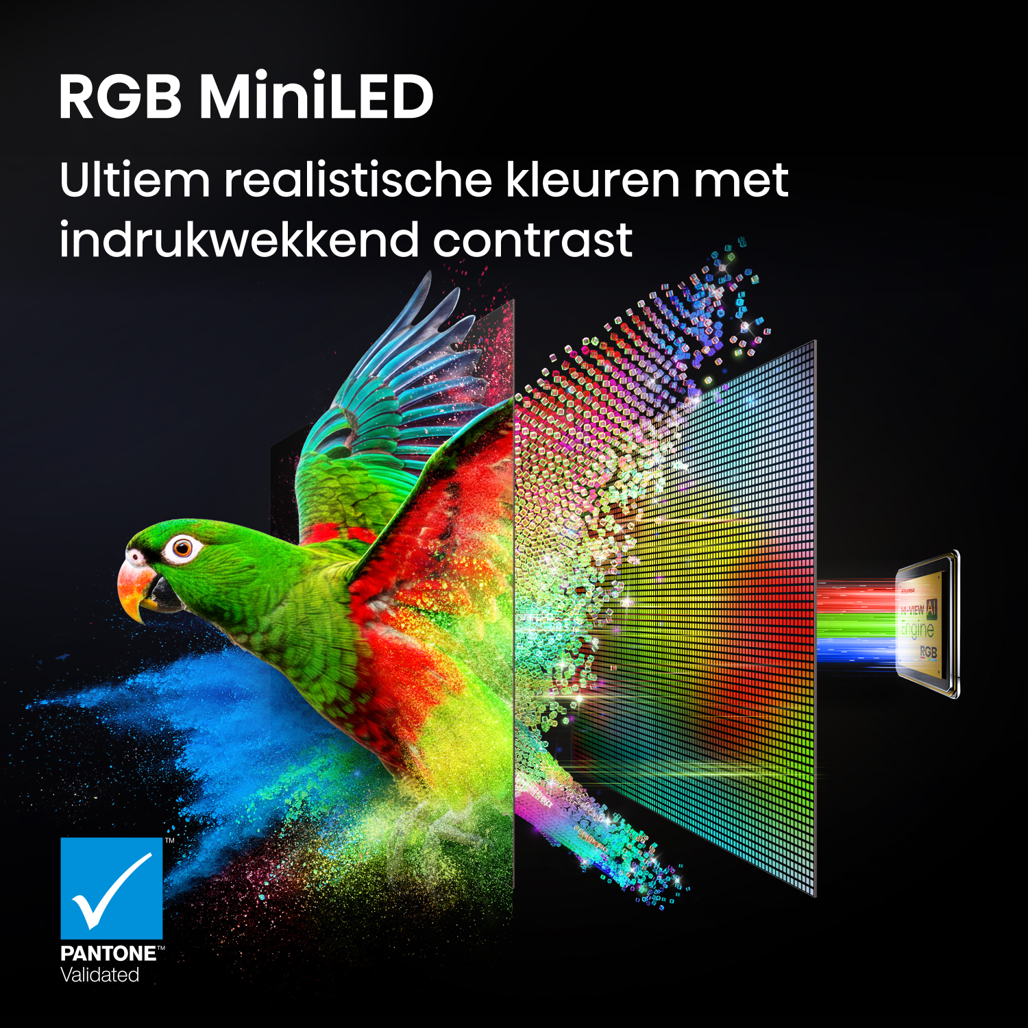 Een groene papegaai explodeert in RGB-kleuren tegen een donkere achtergrond. PANTONE gevalideerd.