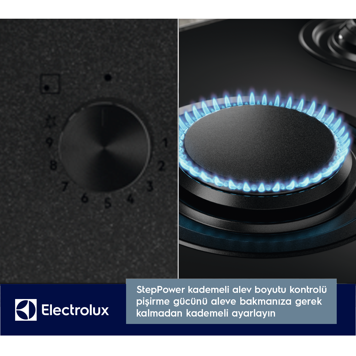 Alevli ve kontrol düğmeli ocak görünümü. Electrolux logosu.