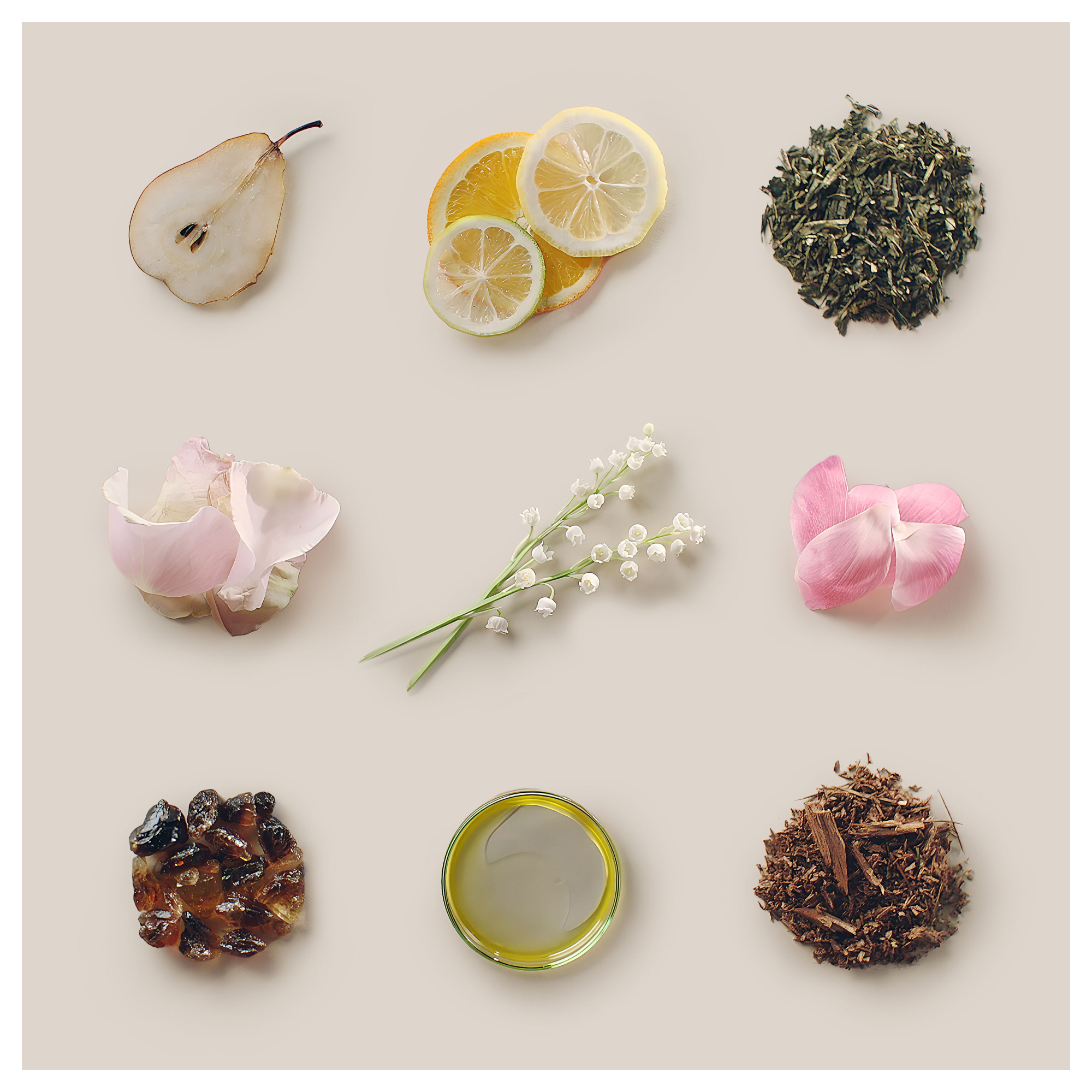 Obere Reihe: Birnenhälfte, Zitrusscheiben, getrocknete Teeblätter. Mitte: Rosenblätter, Maiglöckchen.