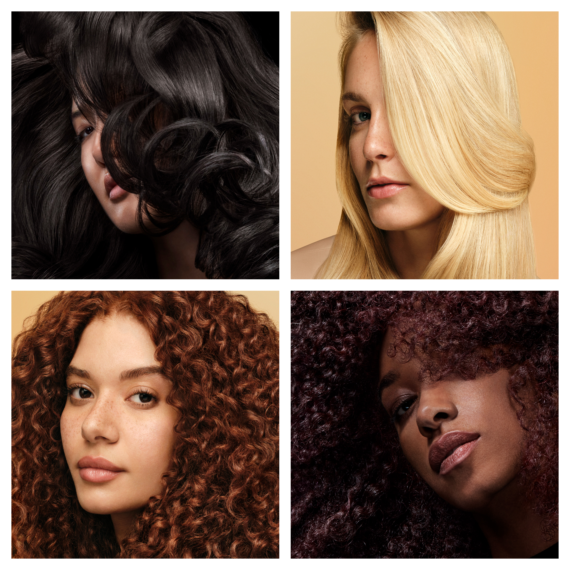 Vier Frauen mit unterschiedlichen Haarfarben und -texturen: schwarz, blond, rot und braun.