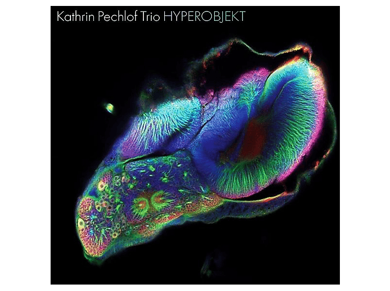 Kathrin Trio Pechlof - Hyperobjekt - (CD)
