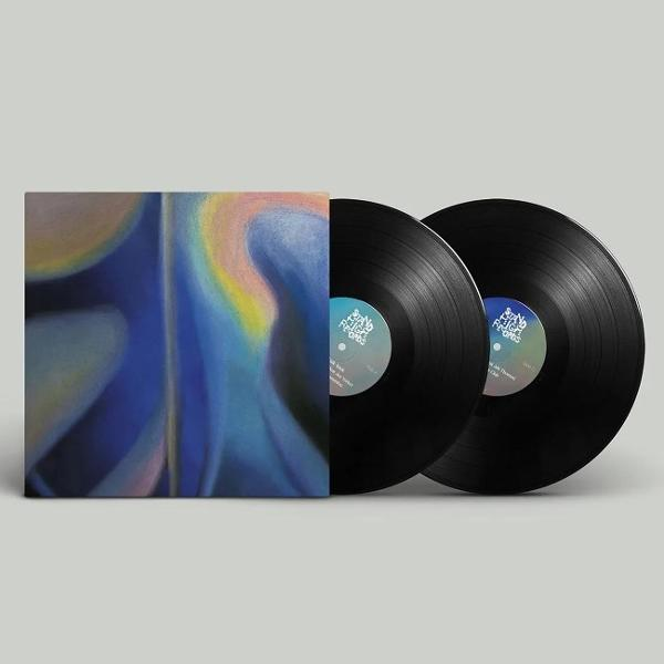 Zwei schwarze Schallplatten mit einem abstrakten Plattencover daneben.