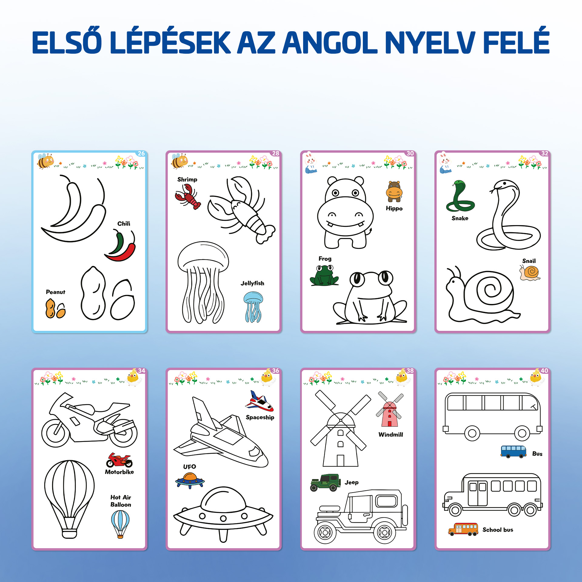 Chili, földimogyoró, garnélarák, medúza, víziló, béka, kígyó, csiga rajzok.