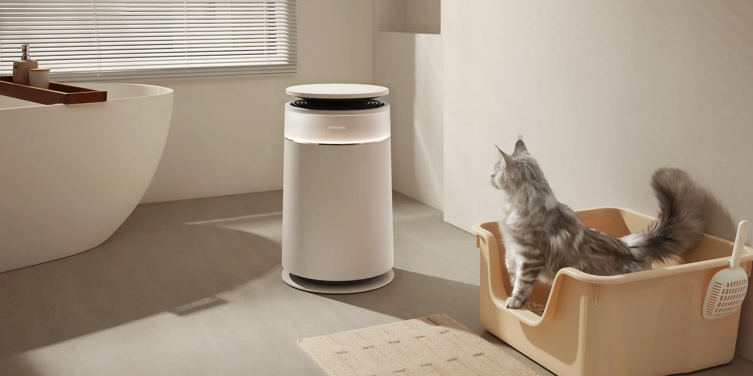 Un chat gris est assis dans une litière à côté d'un purificateur d'air blanc.