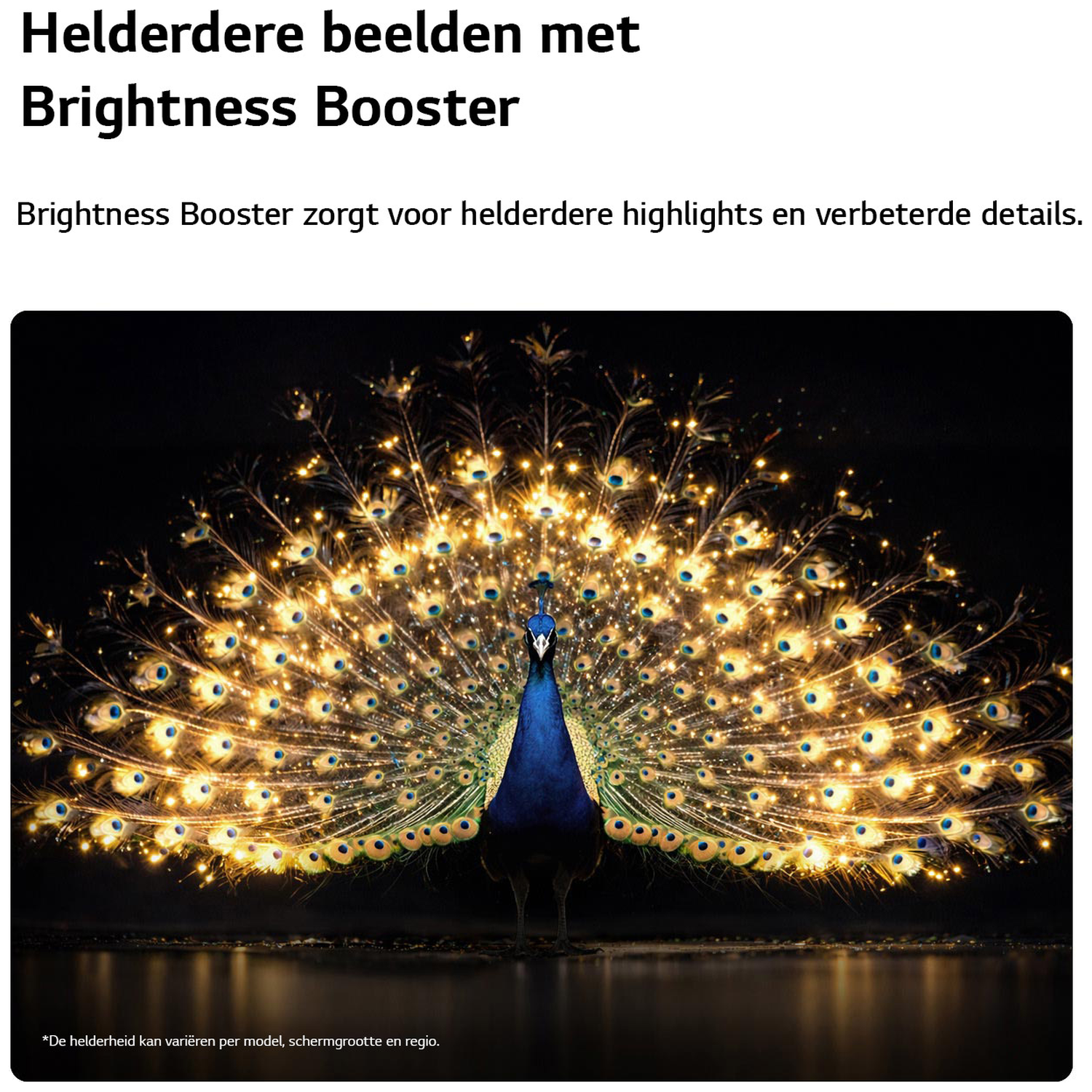 A peacock displays its fanned tail feathers adorned with lights.