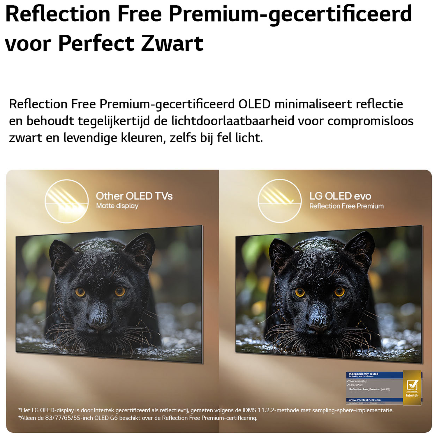 Twee OLED TV's vergeleken: matte display vs LG Reflection Free Premium.