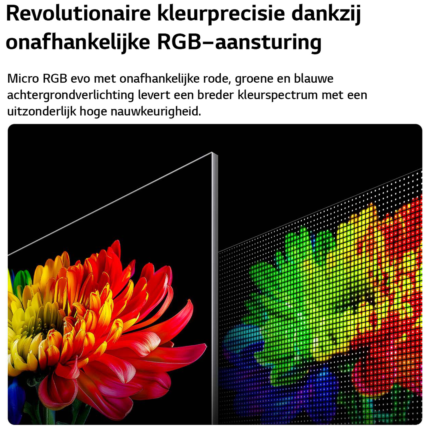 A vibrant flower with red, orange, and yellow petals juxtaposed with a digital display of colorful pixels.