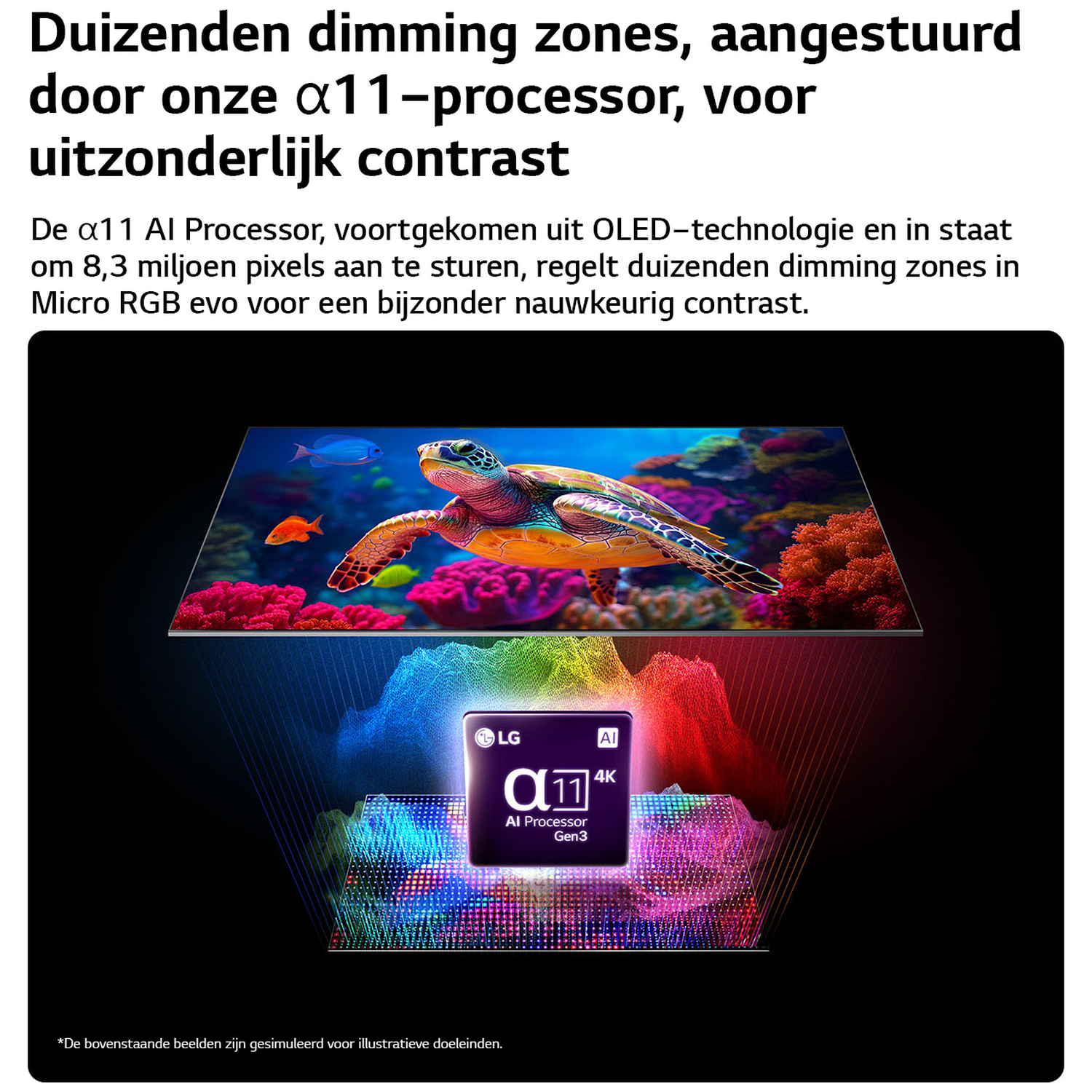 Screen shows turtle & fish near coral, below is LG α11 AI Processor 4K chip.