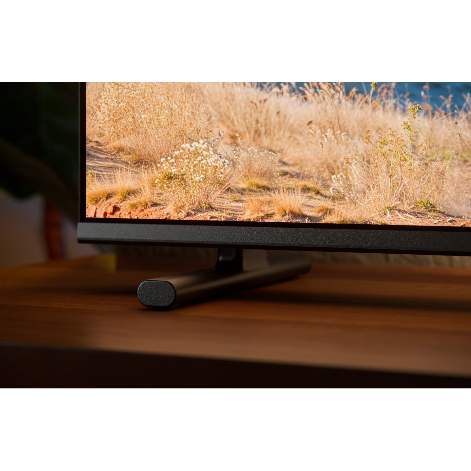 A monitor displays a landscape with dry grass and water.