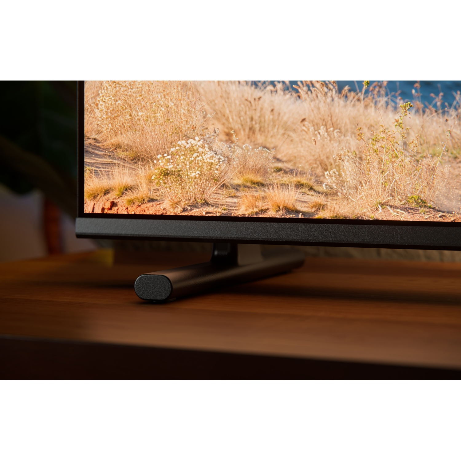 A monitor displaying a landscape scene with dry plants and water.
