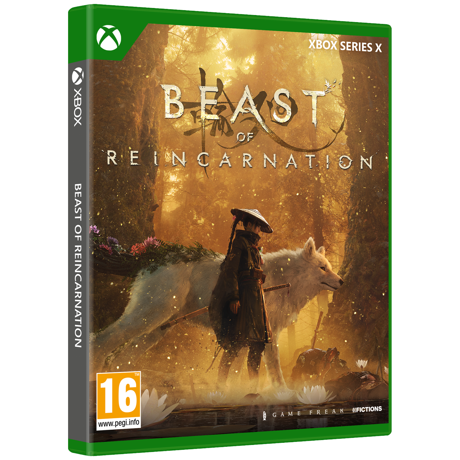 A person and a white wolf stand in a misty forest. Xbox game cover.