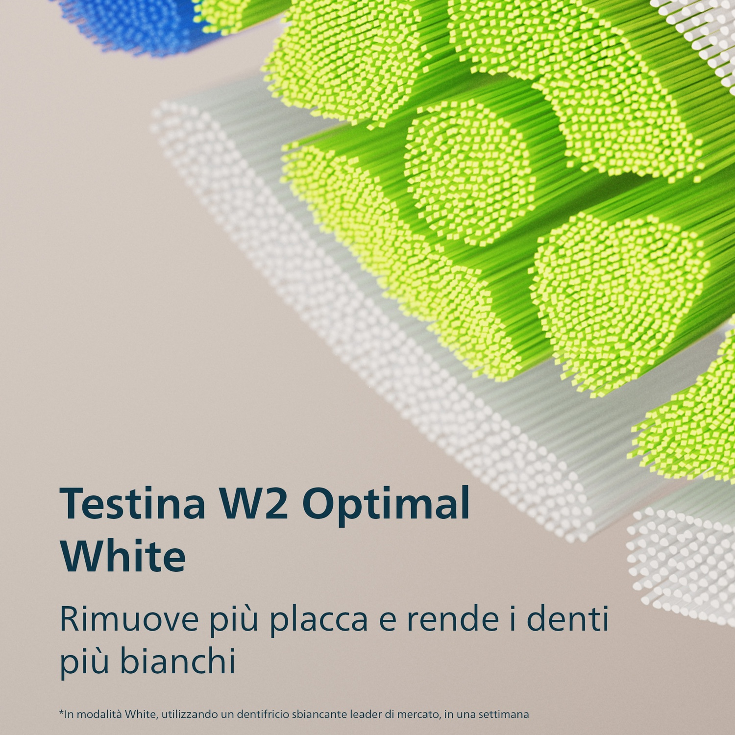 Primo piano di setole di spazzolino blu, verdi e bianche.